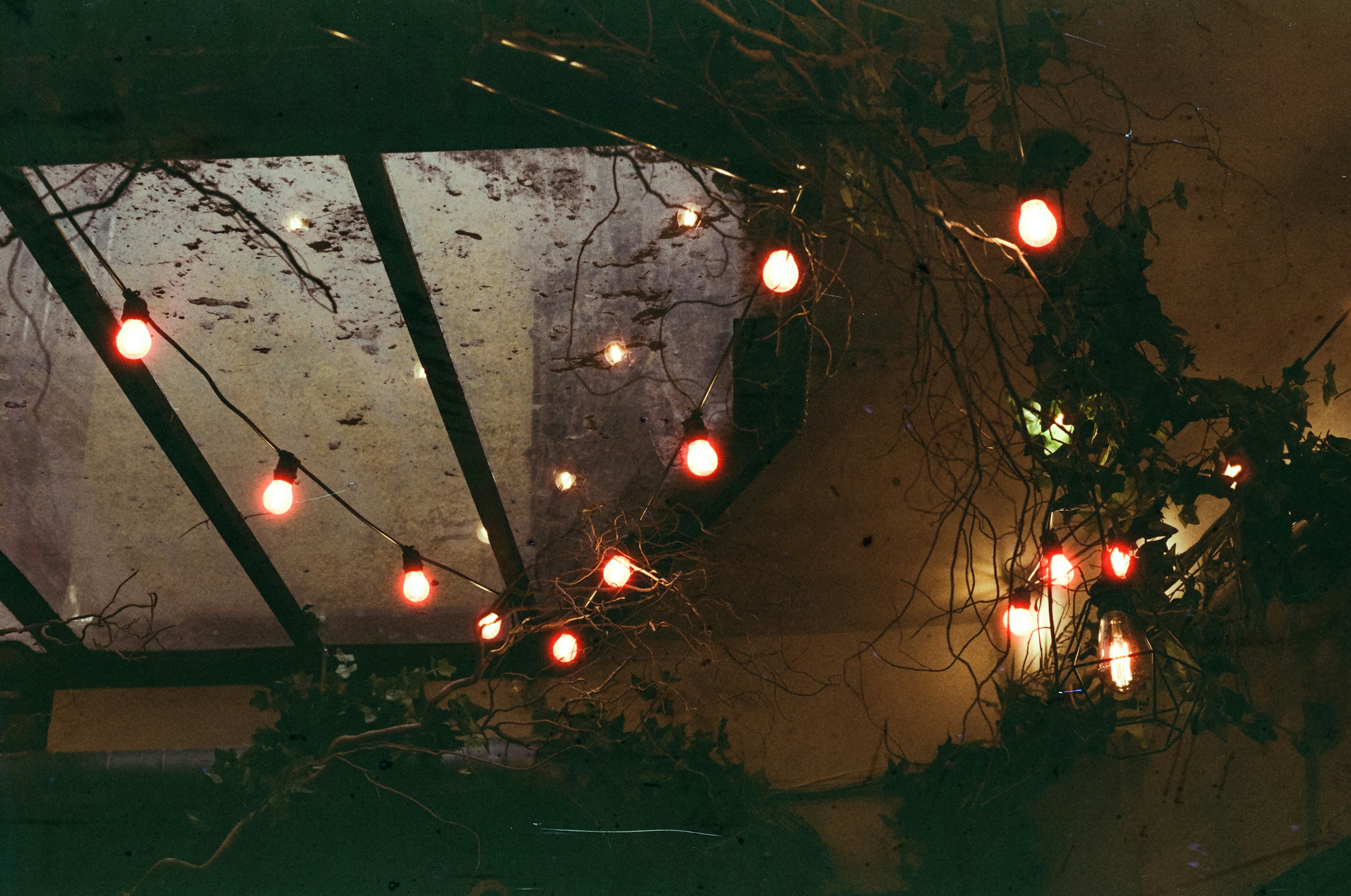 Photo by mineral_of_demon