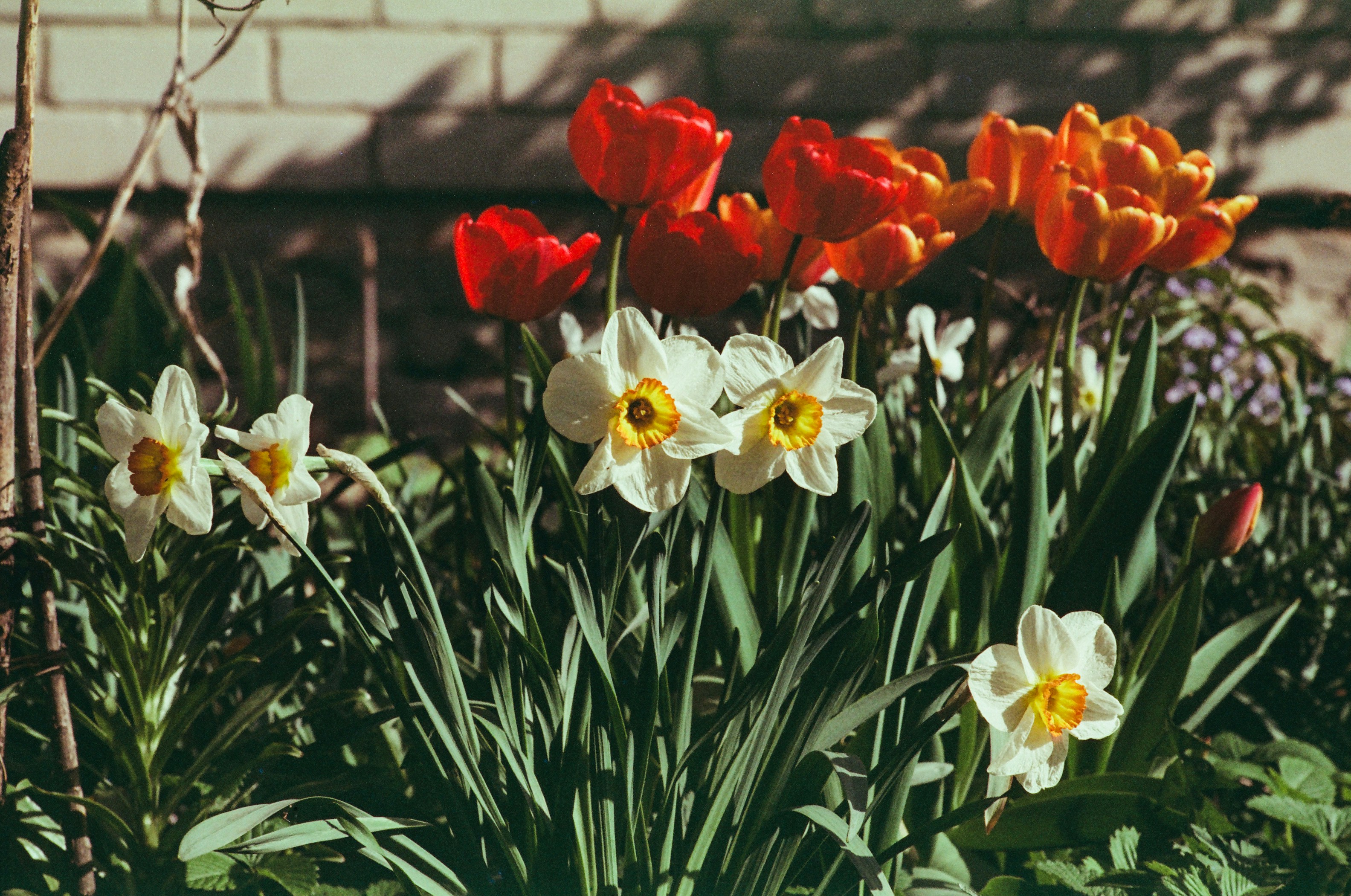 Photo by mineral_of_demon