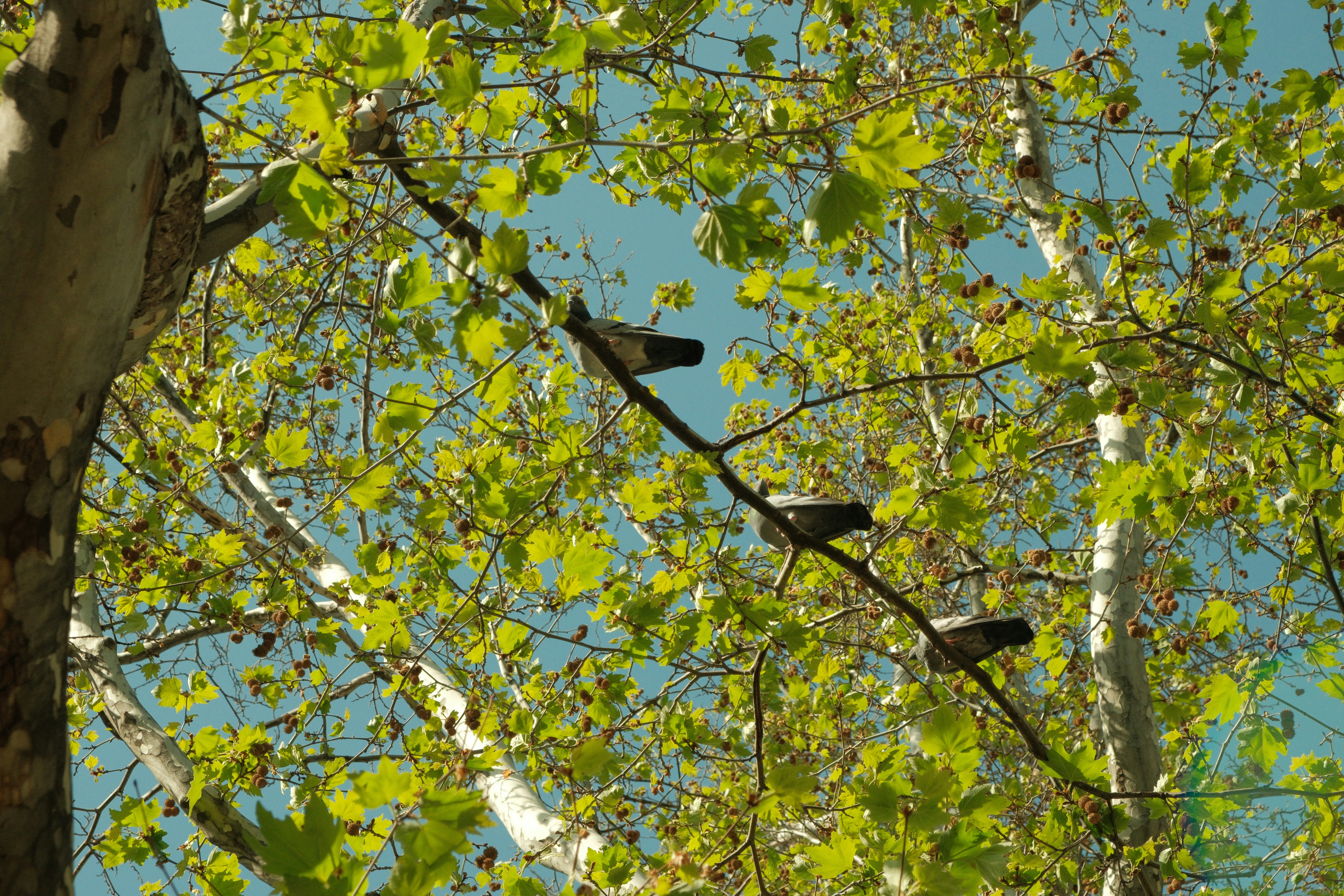 Photo by ismailefetop