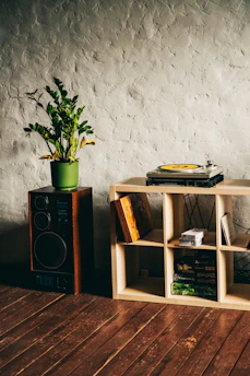 Record player, speaker, and books adorn a rustic setting.