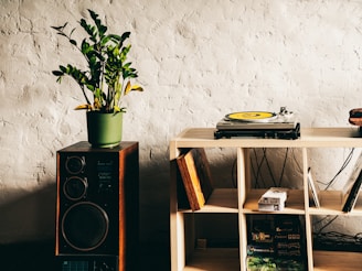 A plant, speaker, and record player make a cozy scene.