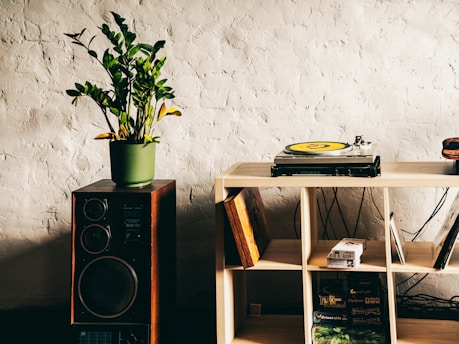A plant, speaker, and record player make a cozy scene.