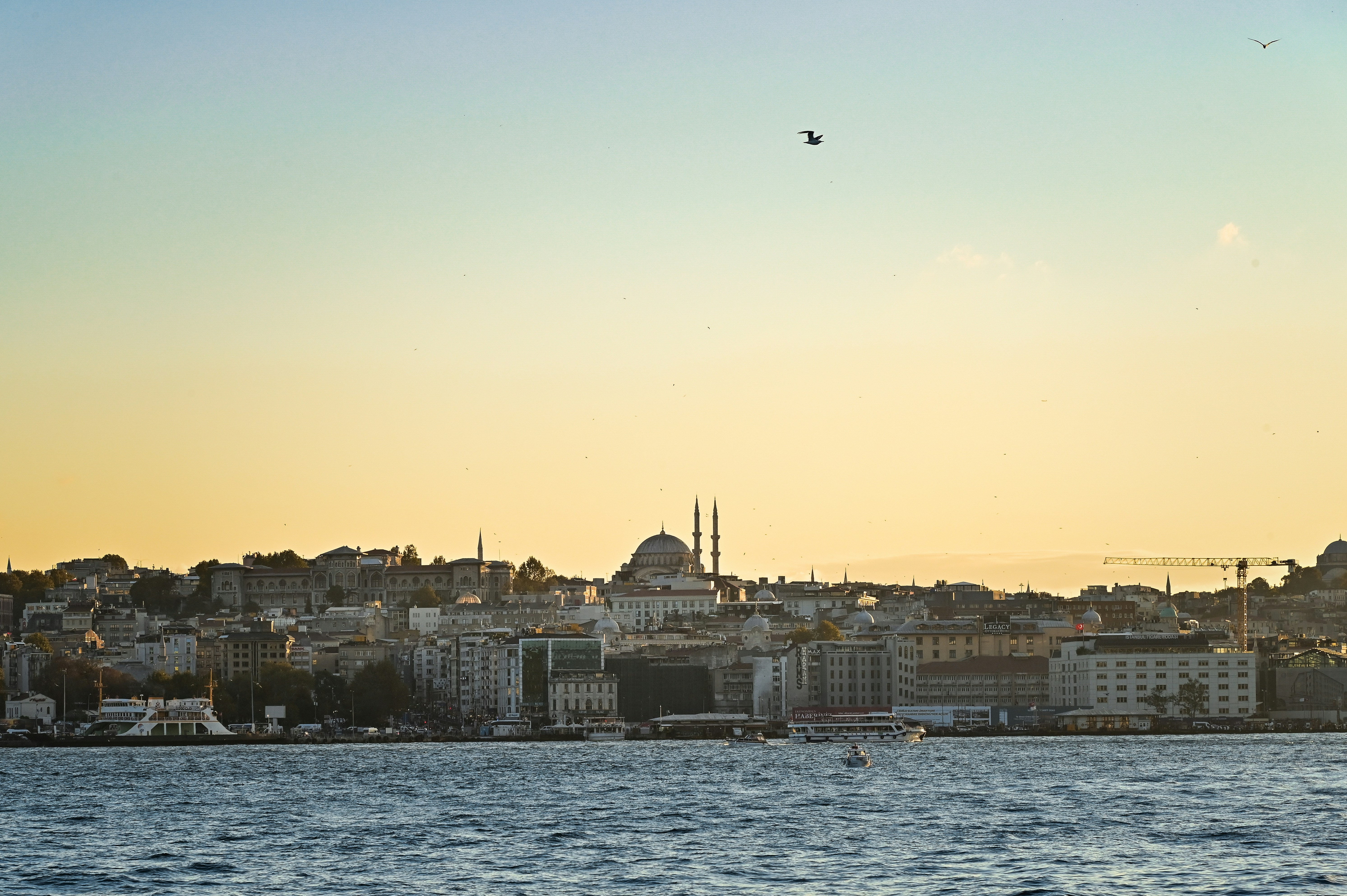 Photo by alexandra_p_d