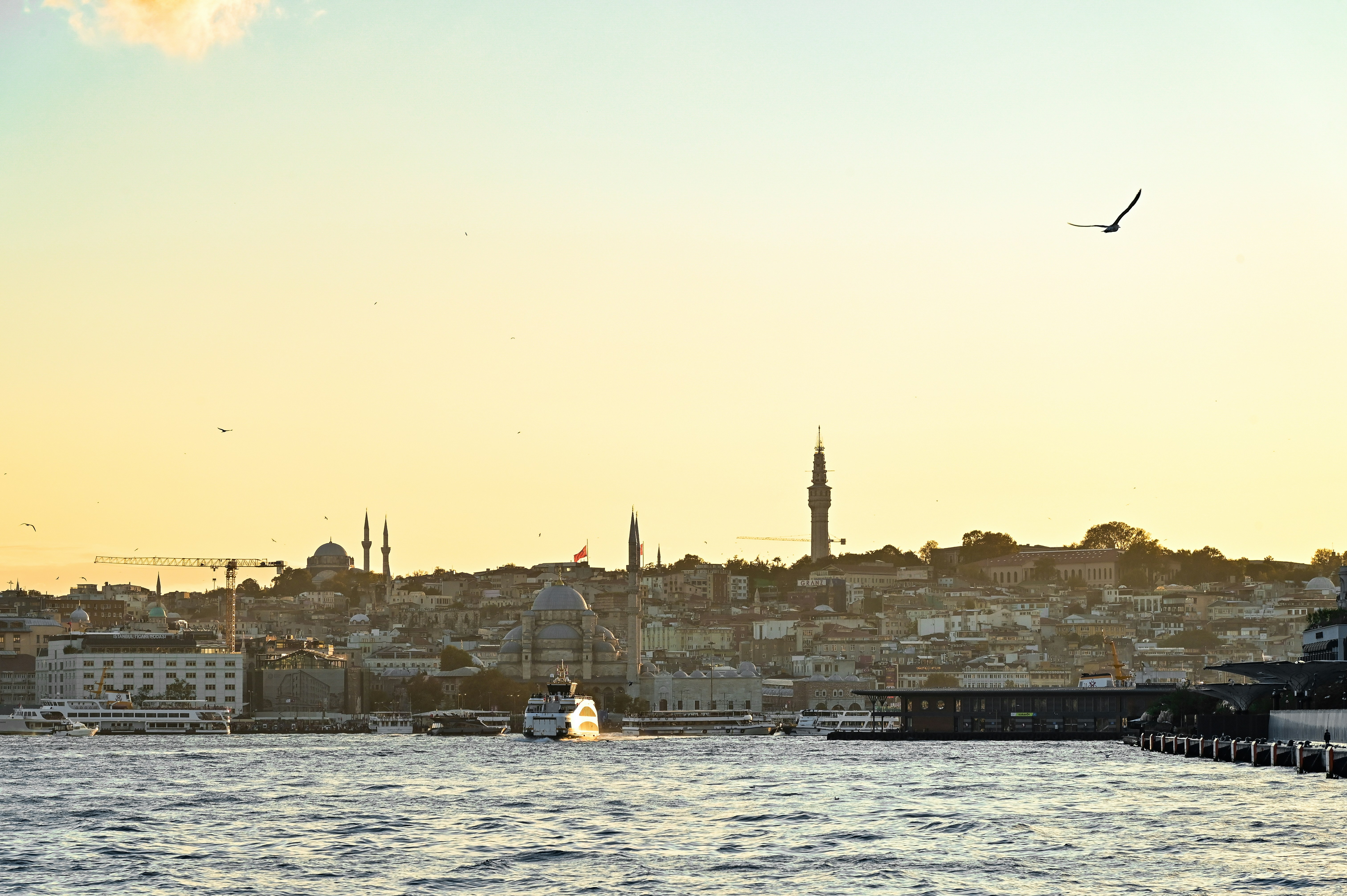 Photo by alexandra_p_d