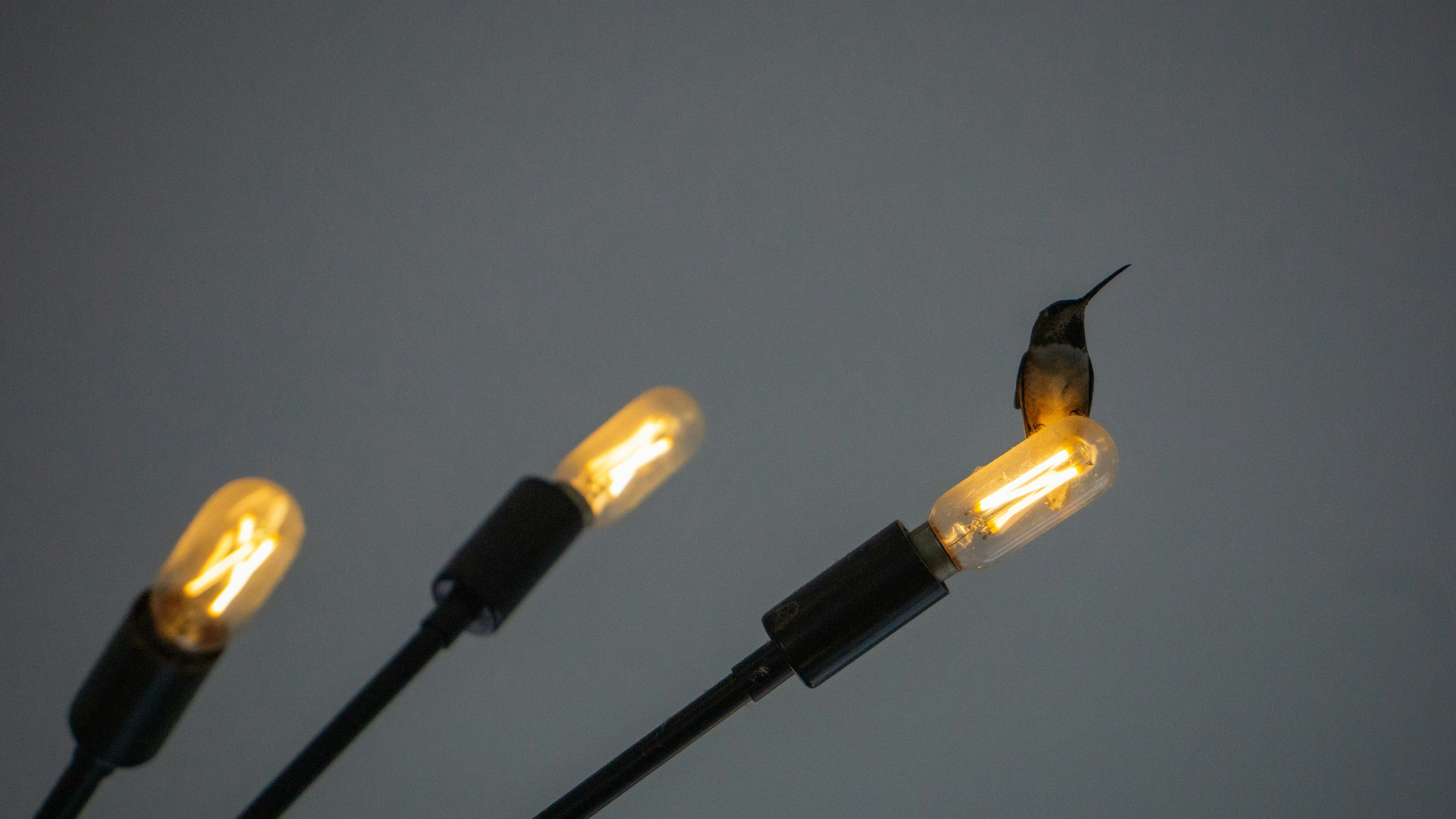 省エネテレビの選び方は？有機EL・液晶の消費電力比較関連画像