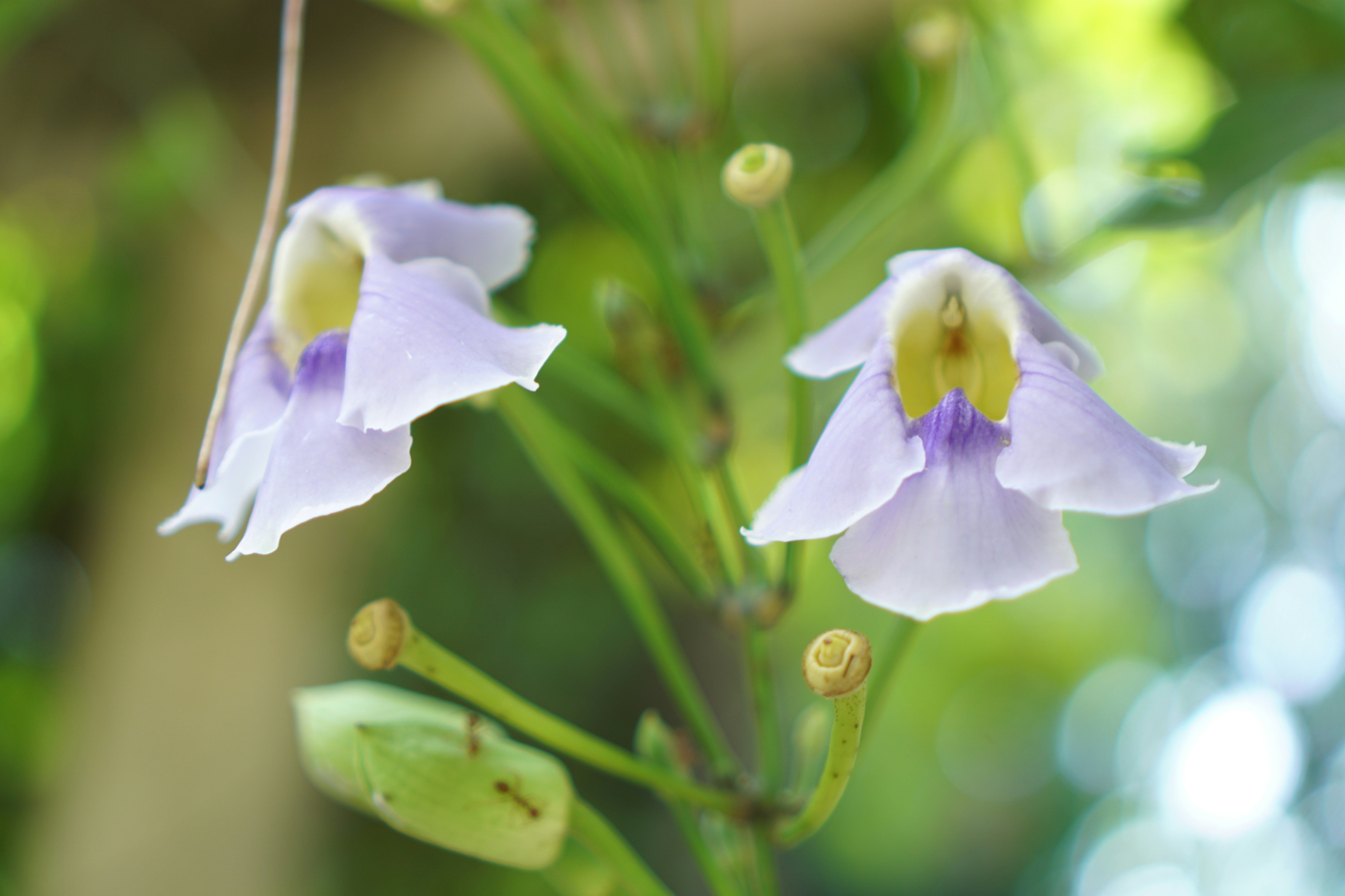 Photo by dangtruong000