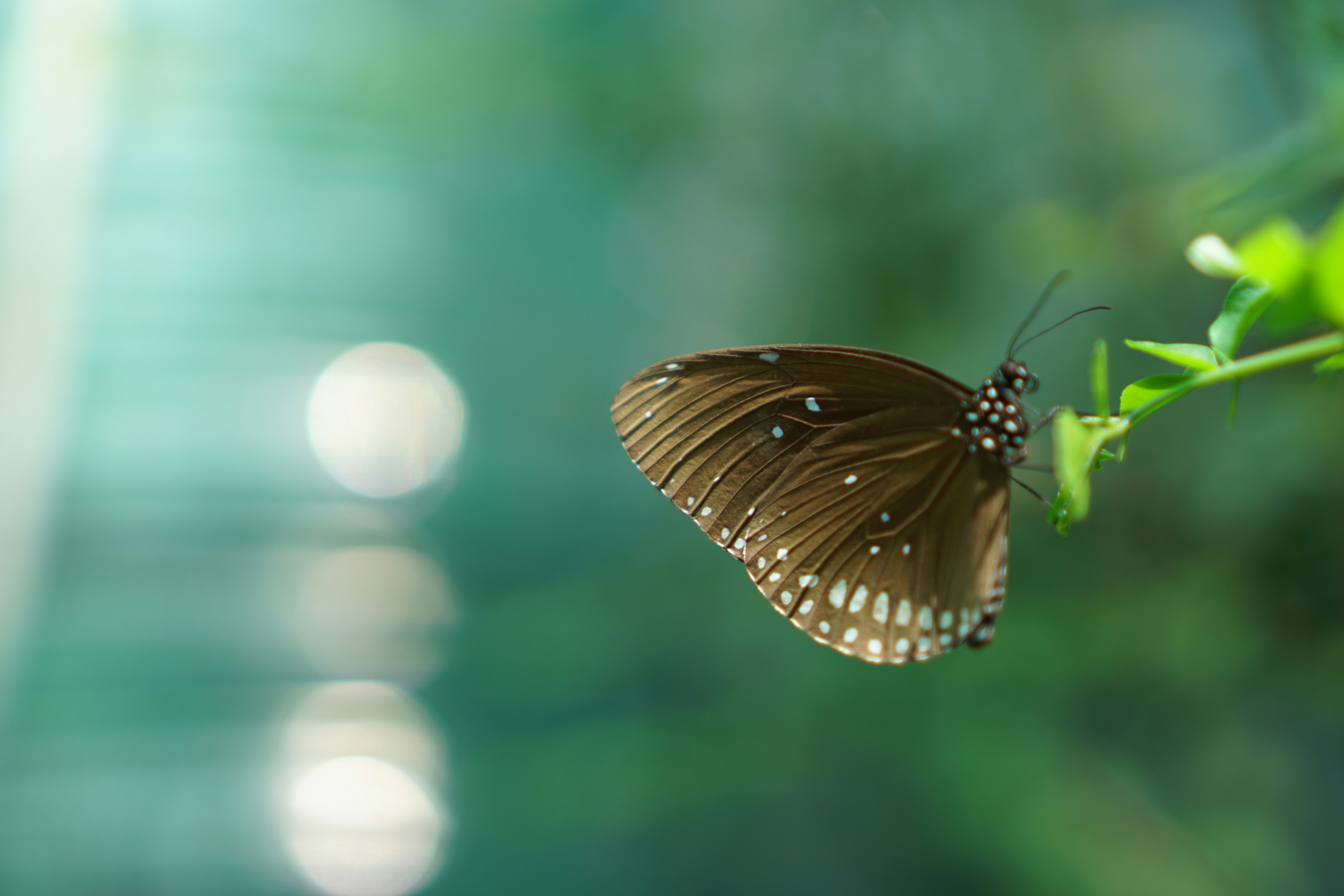 Photo by dangtruong000