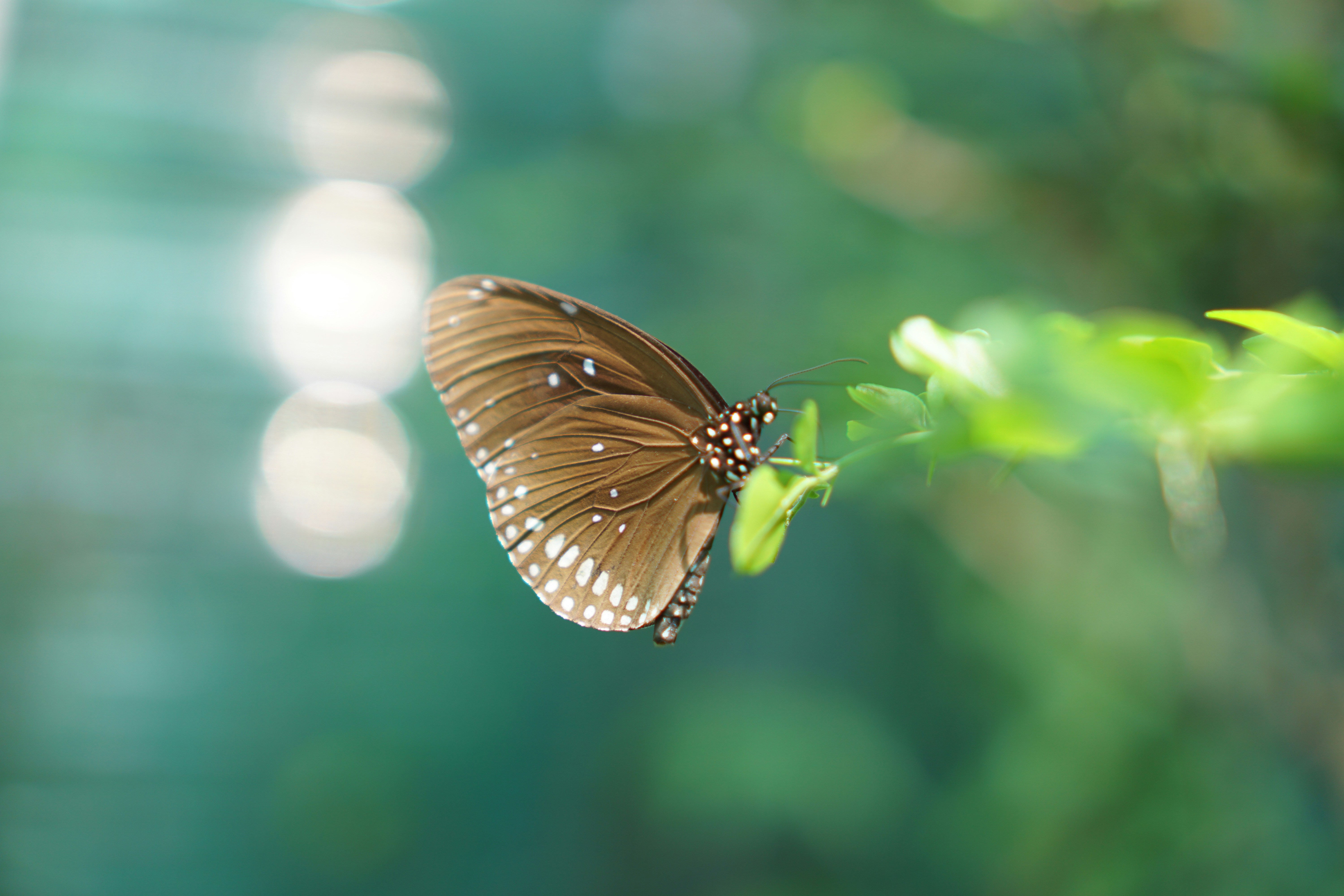 Photo by dangtruong000