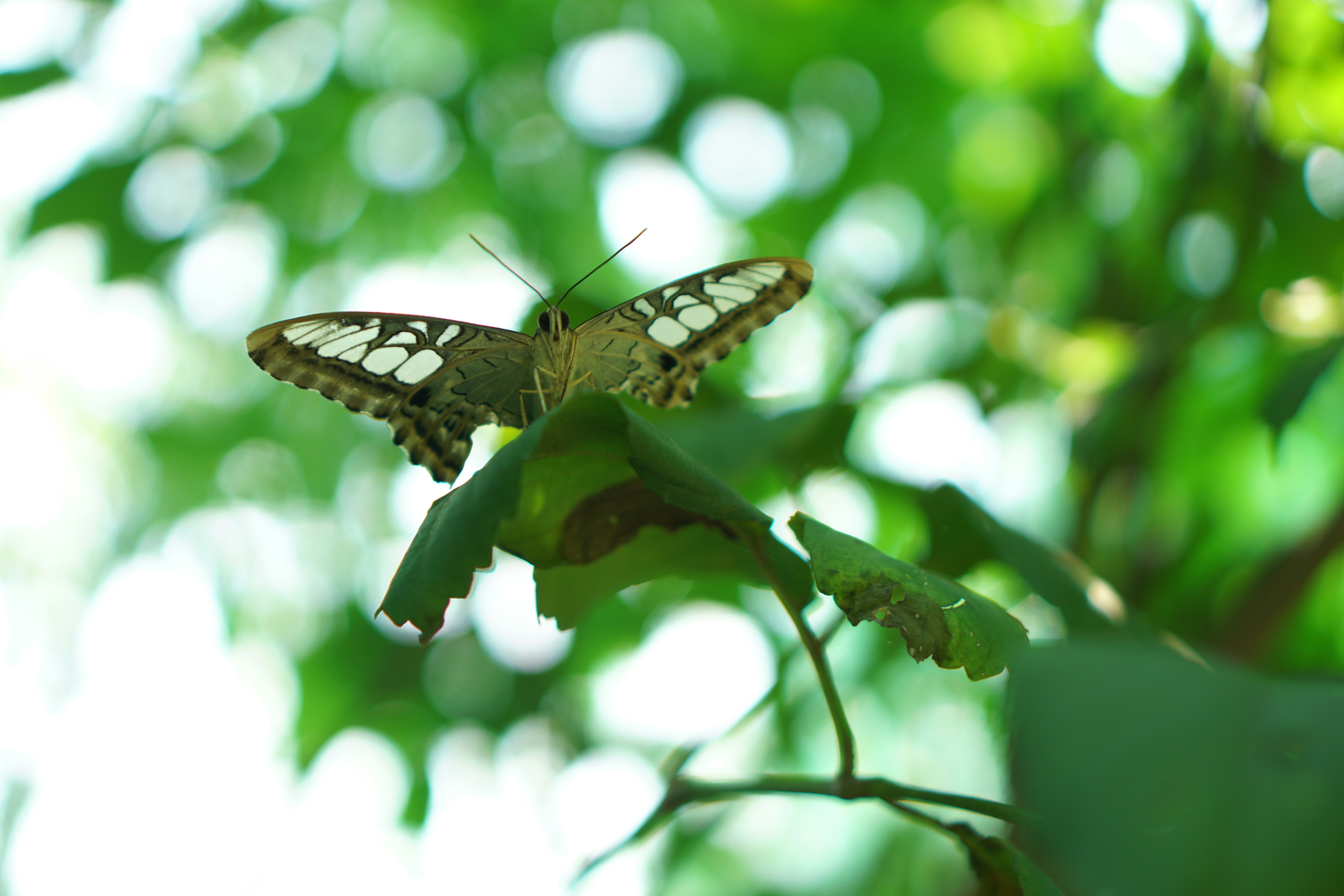 Photo by dangtruong000