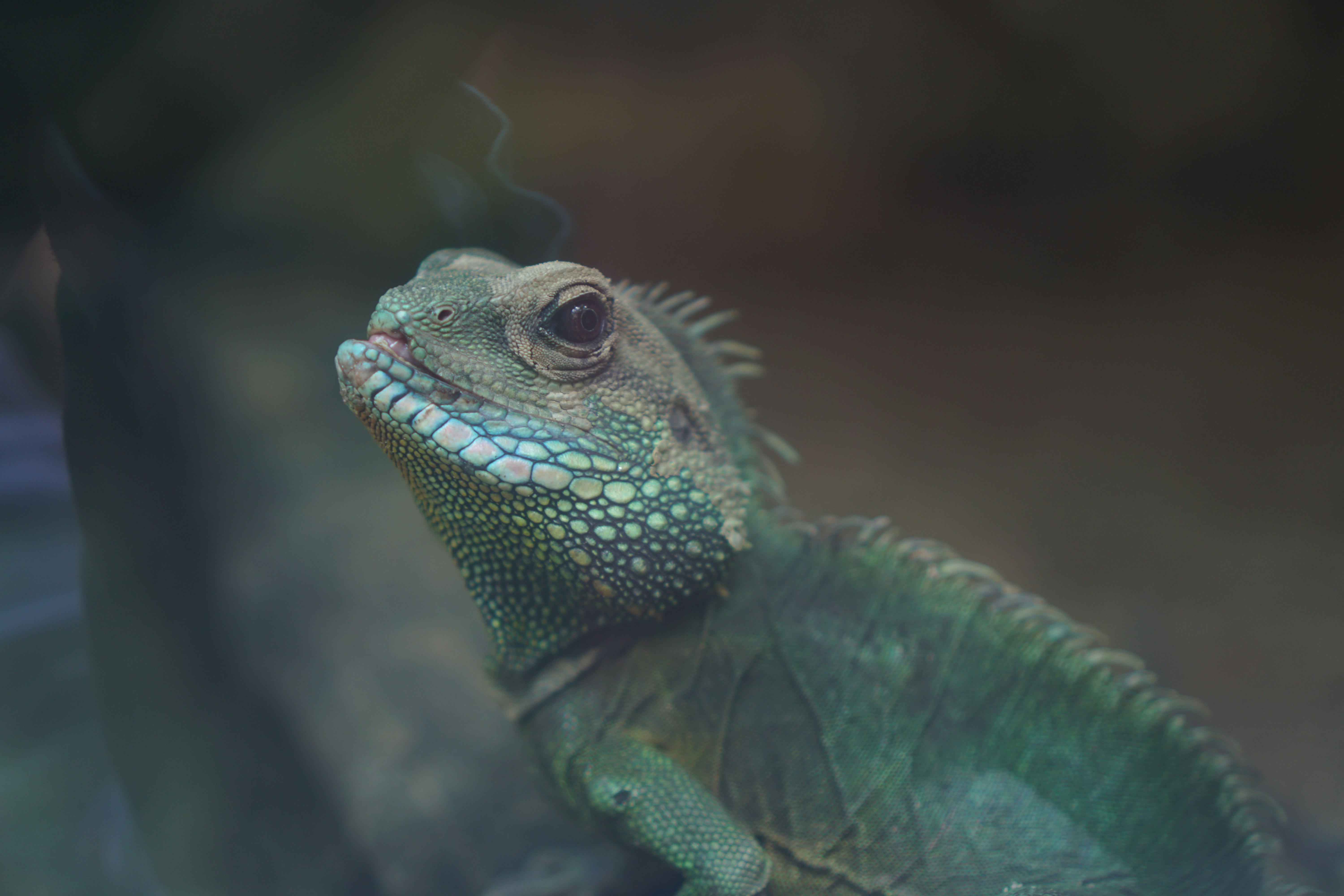 Photo by dangtruong000