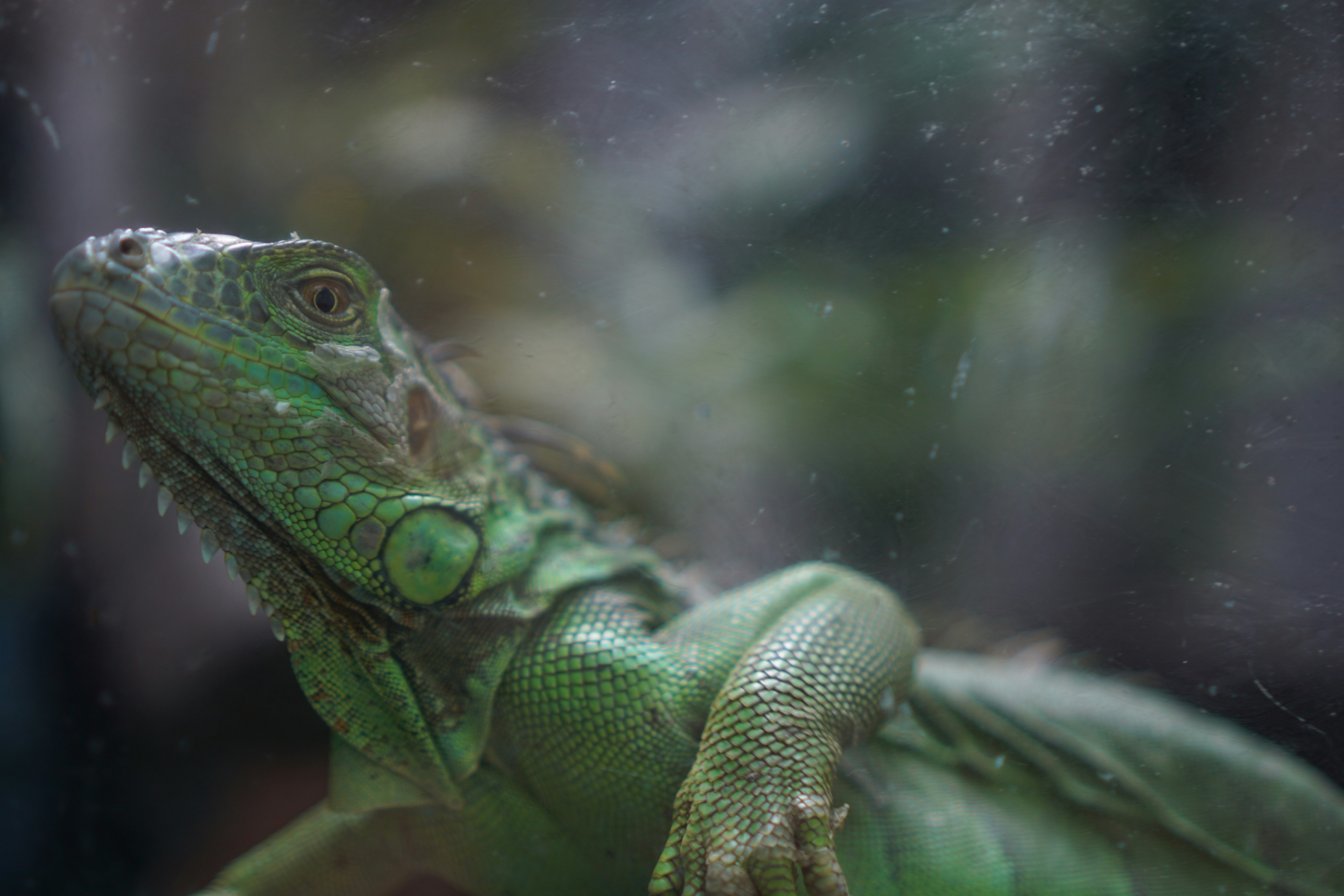 Photo by dangtruong000