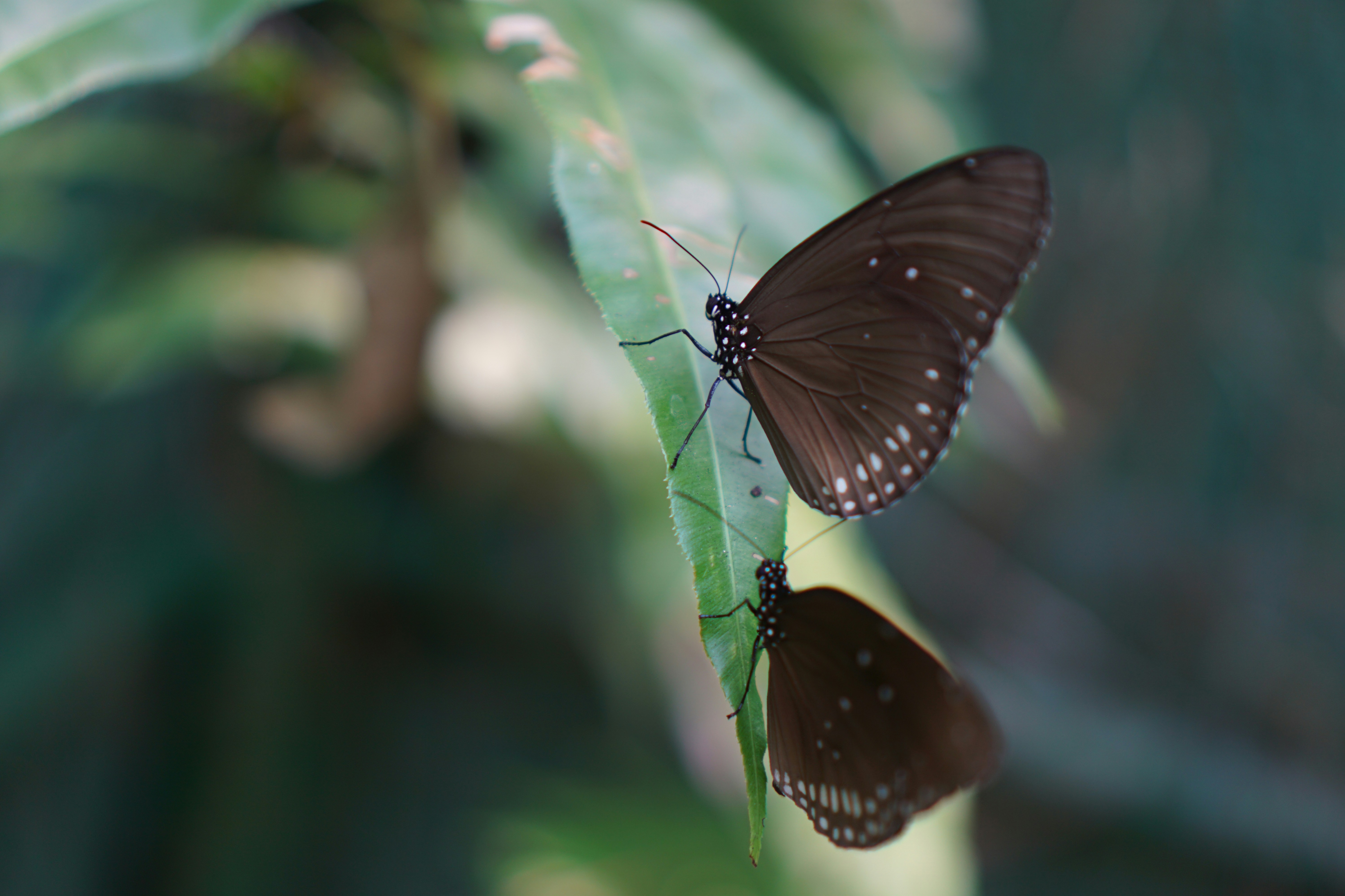 Photo by dangtruong000