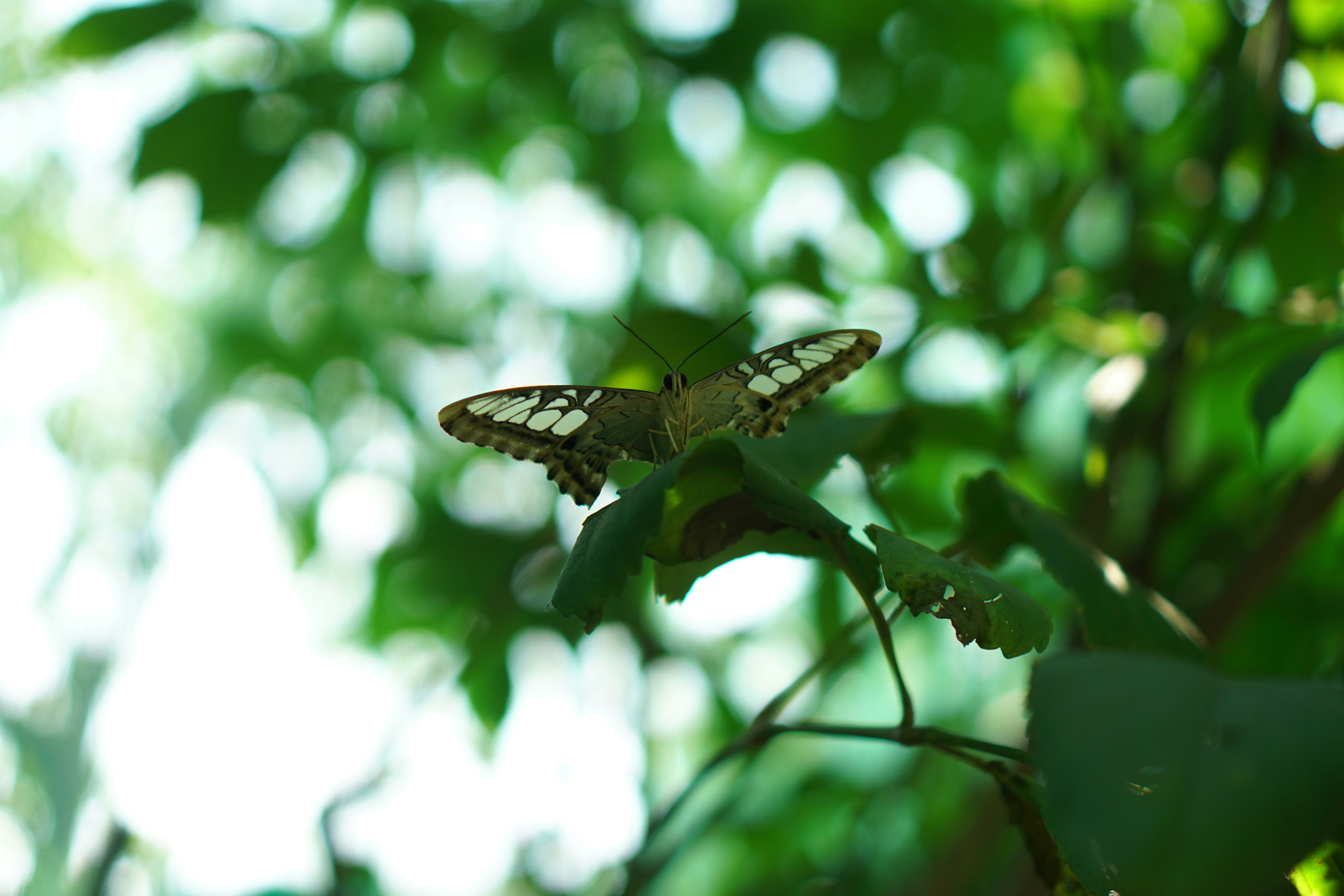 Photo by dangtruong000