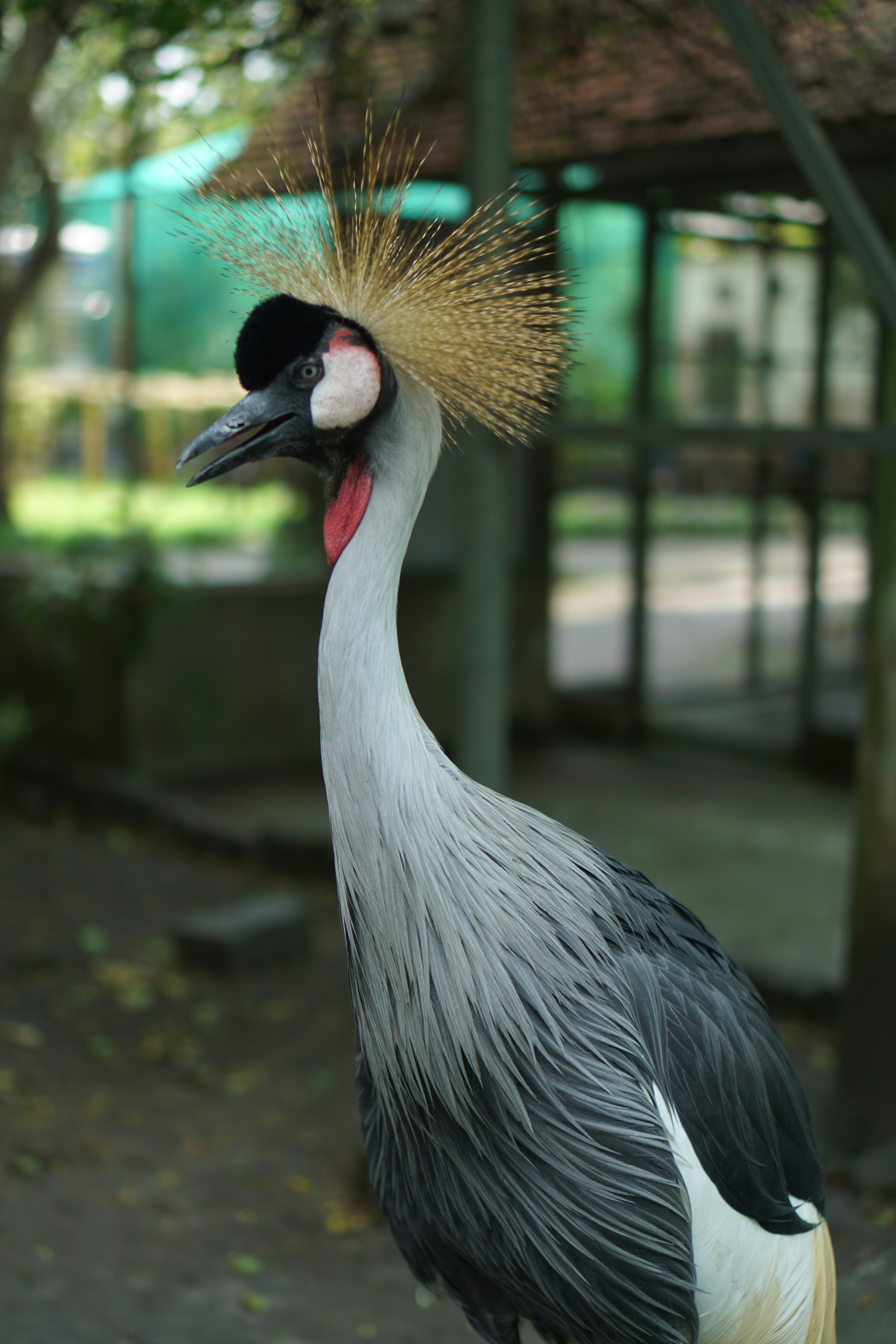 Photo by dangtruong000