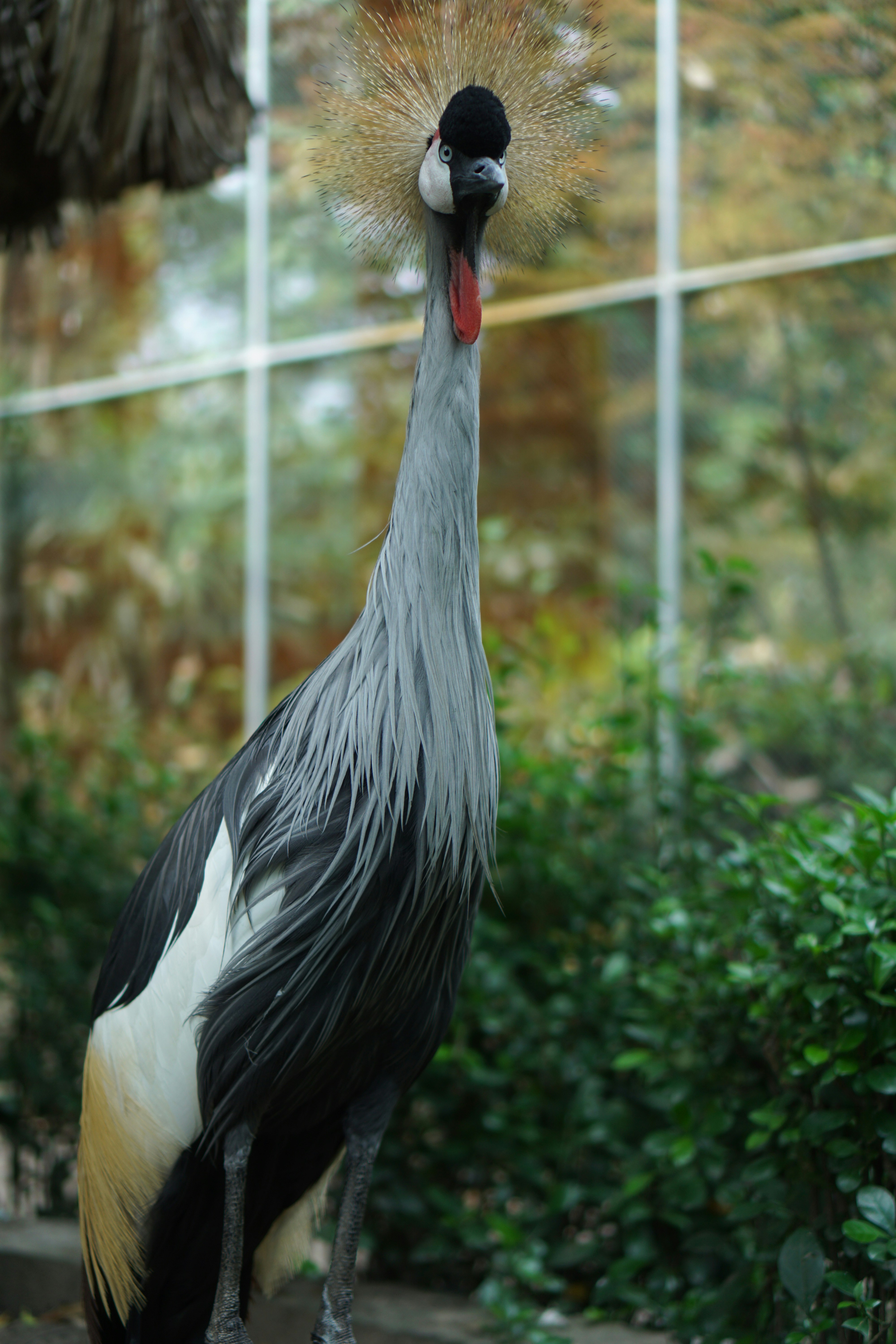 Photo by dangtruong000