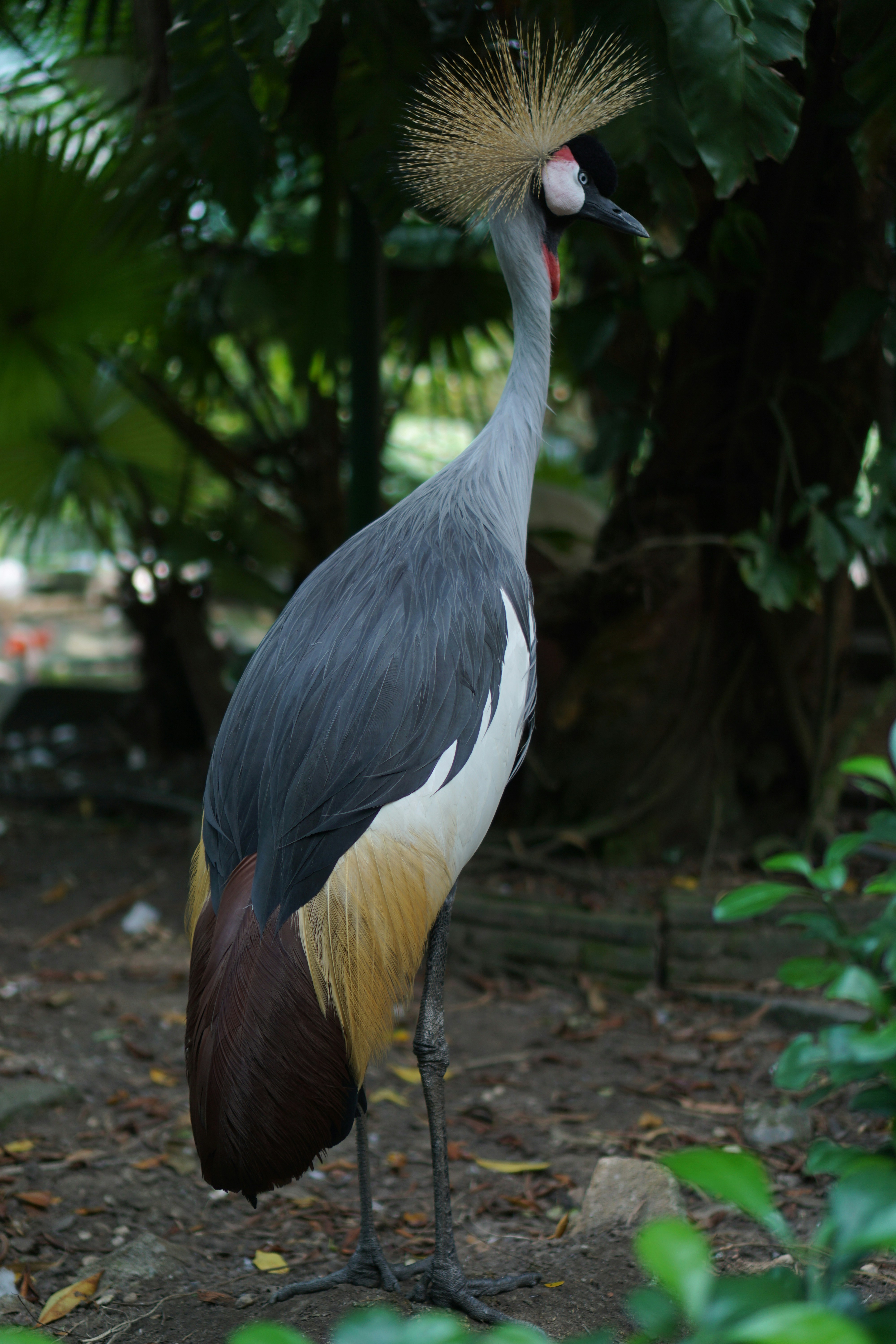 Photo by dangtruong000