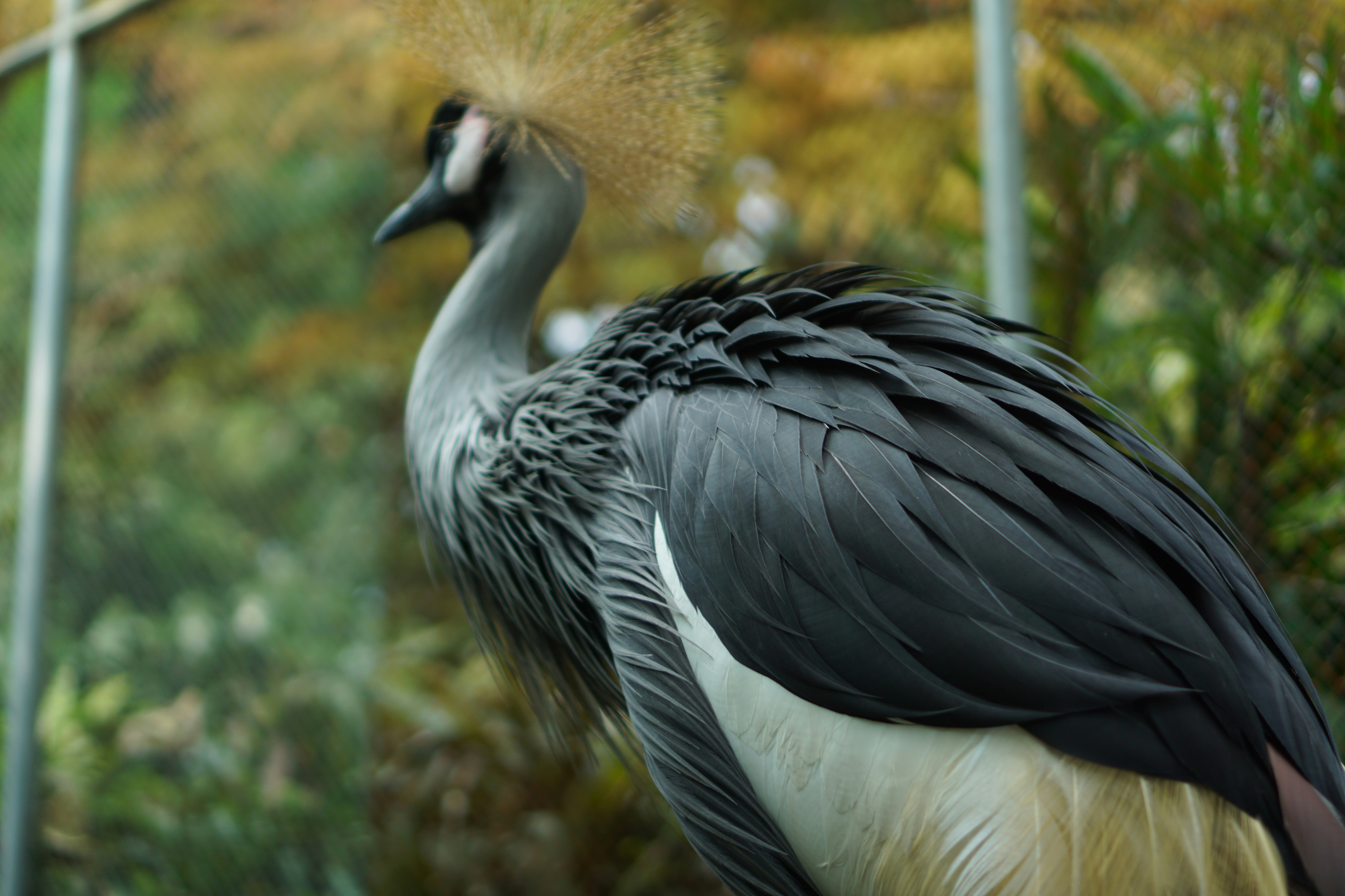 Photo by dangtruong000