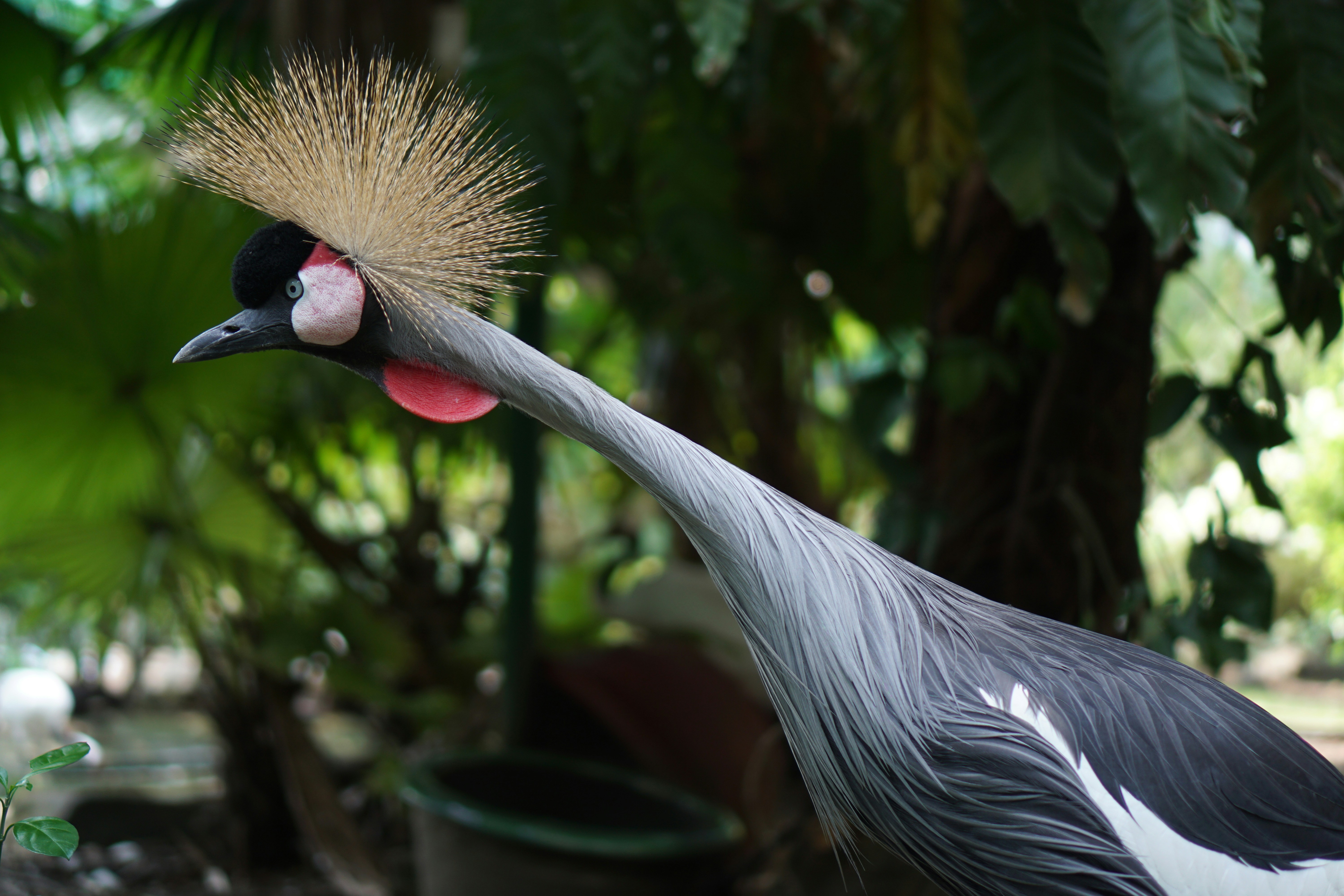 Photo by dangtruong000