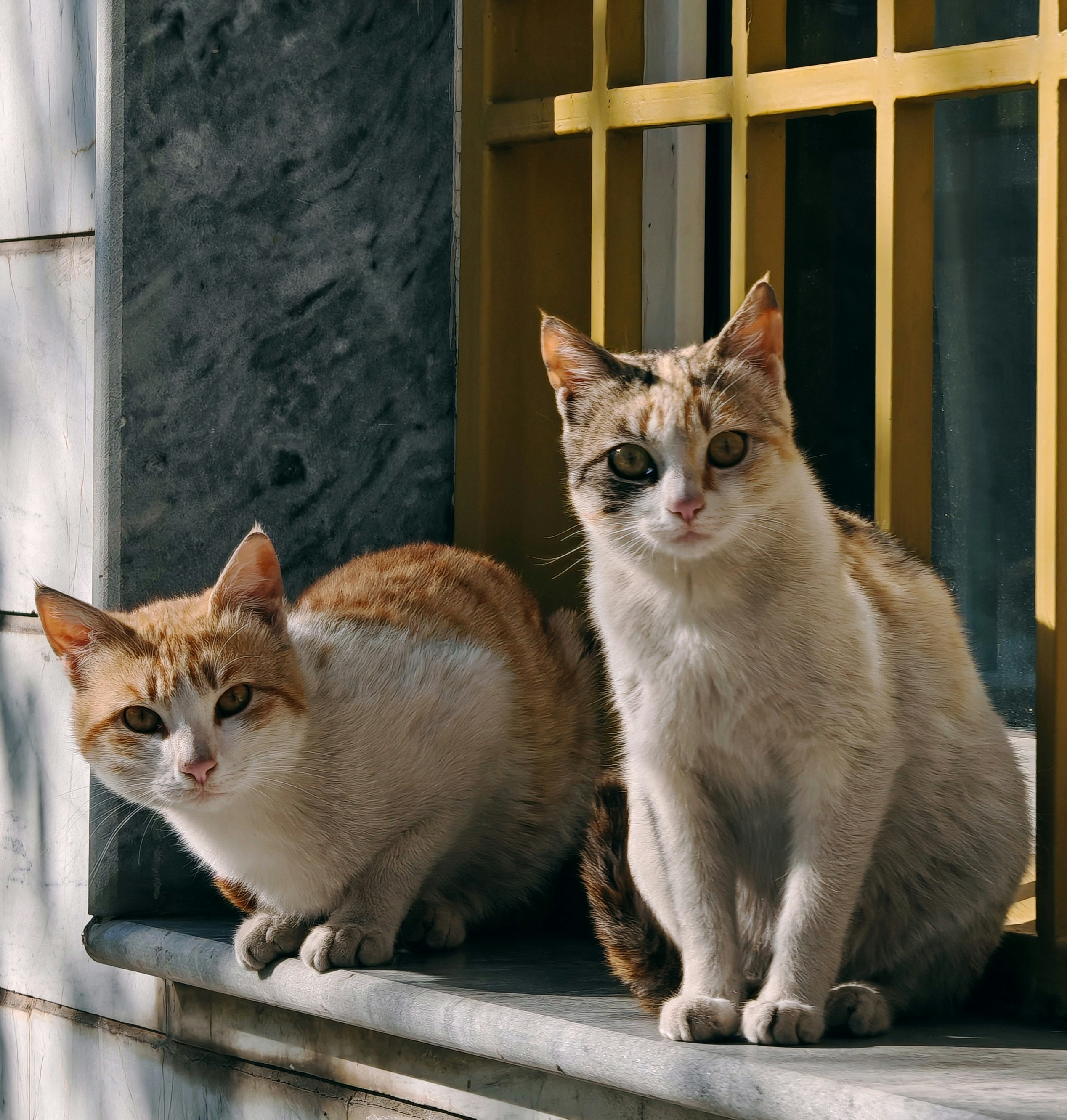 Social Media Dominance: Instagram and Beyond (image credits: unsplash)