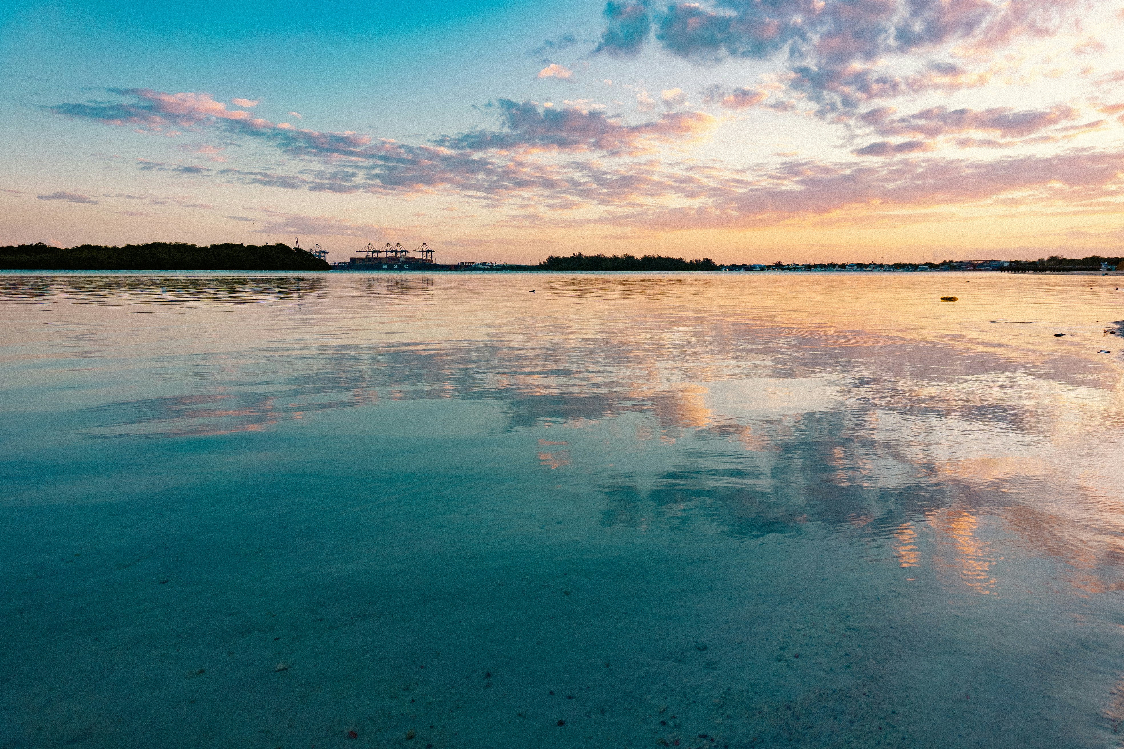 Photo by miguelphoto