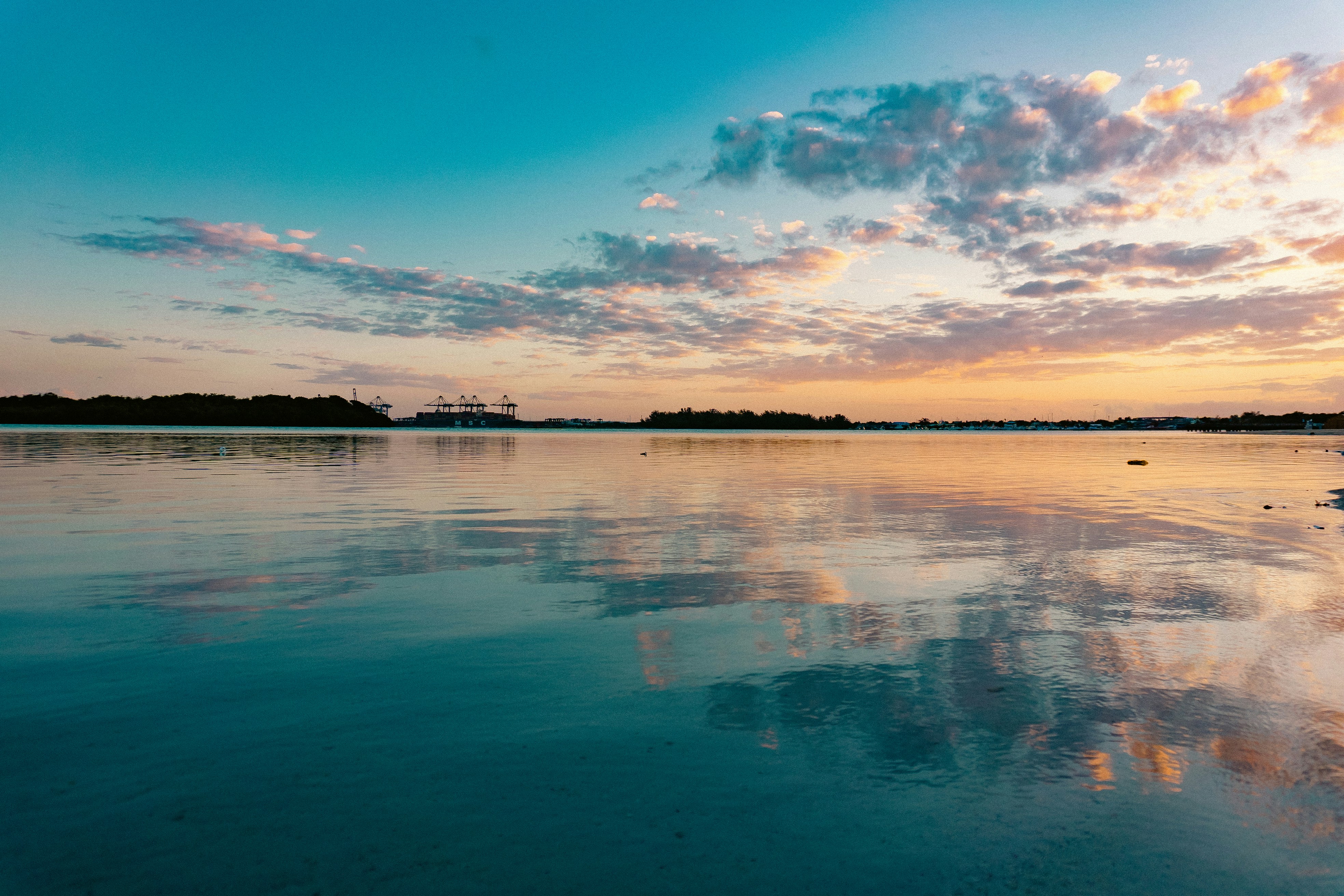 Photo by miguelphoto