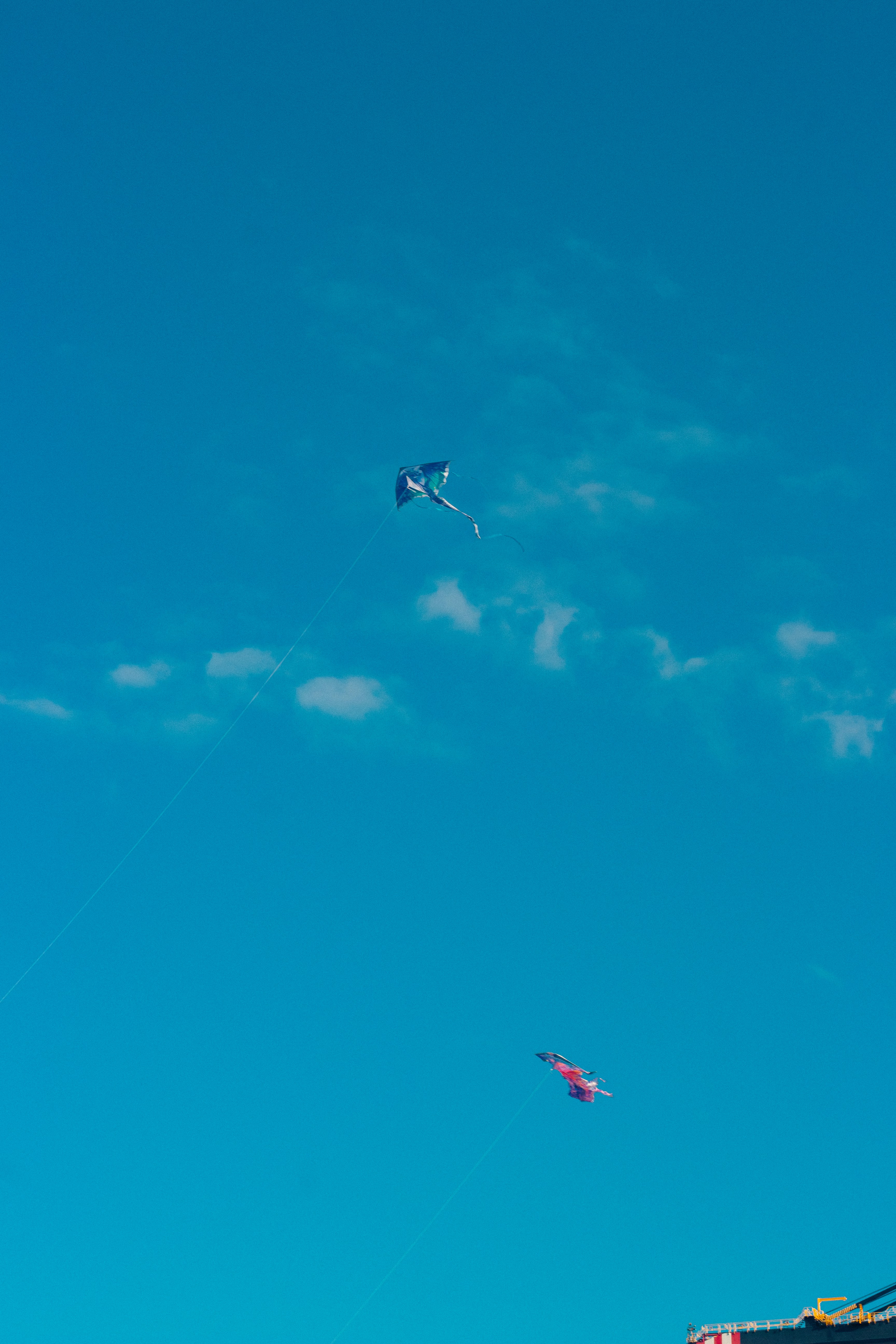 Photo by miguelphoto