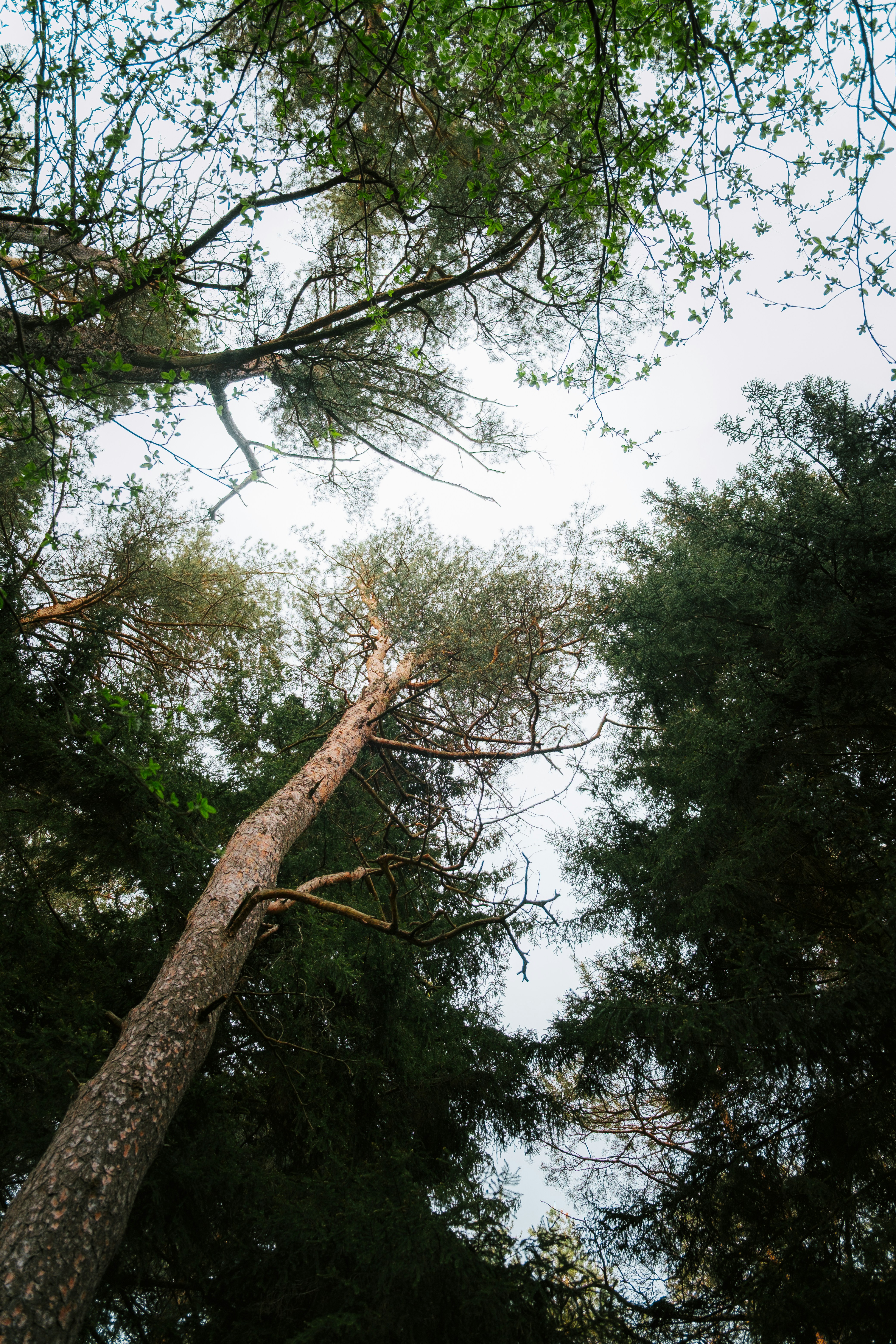 Photo by gev__avetisyan