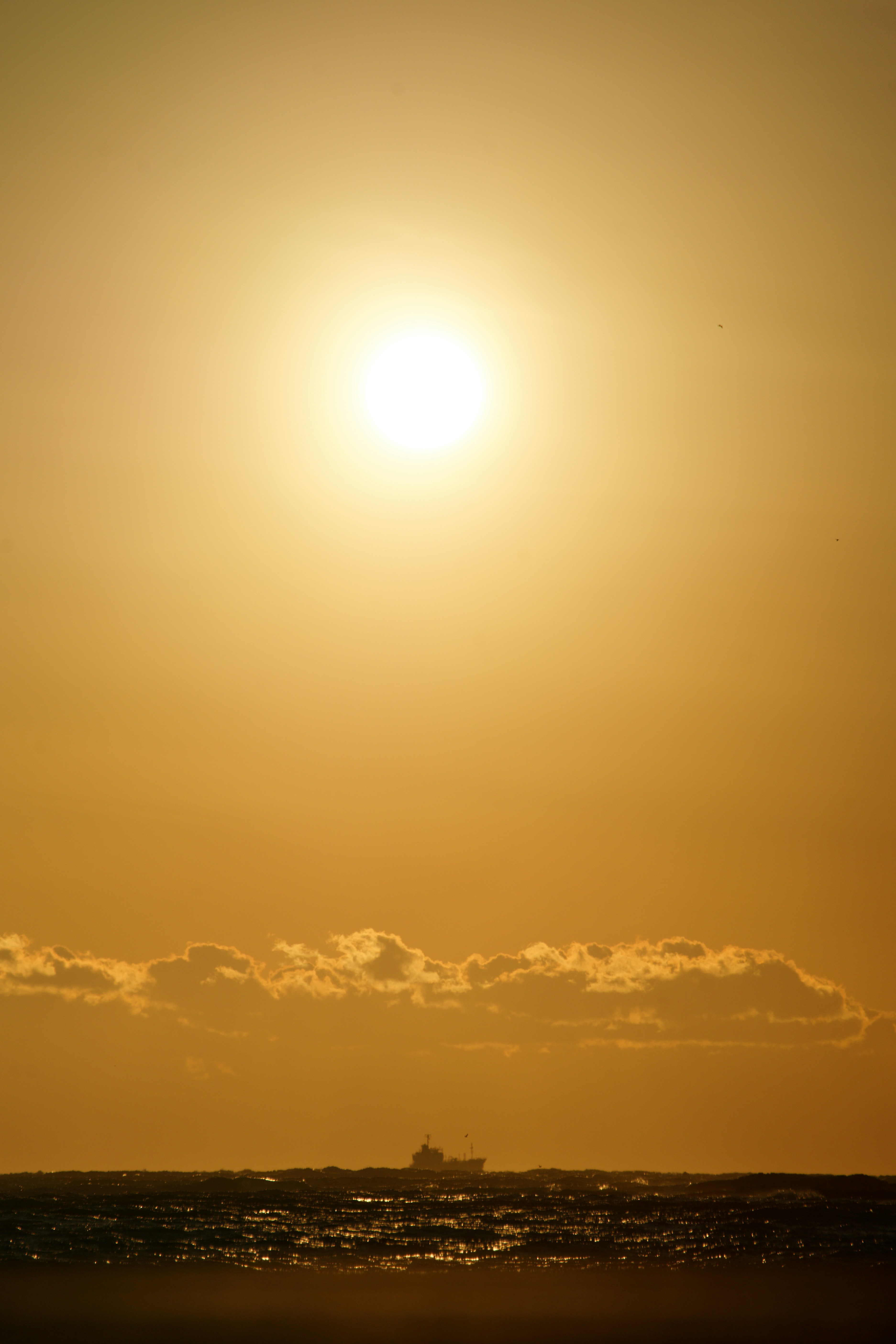 Photo by da_shika_photo