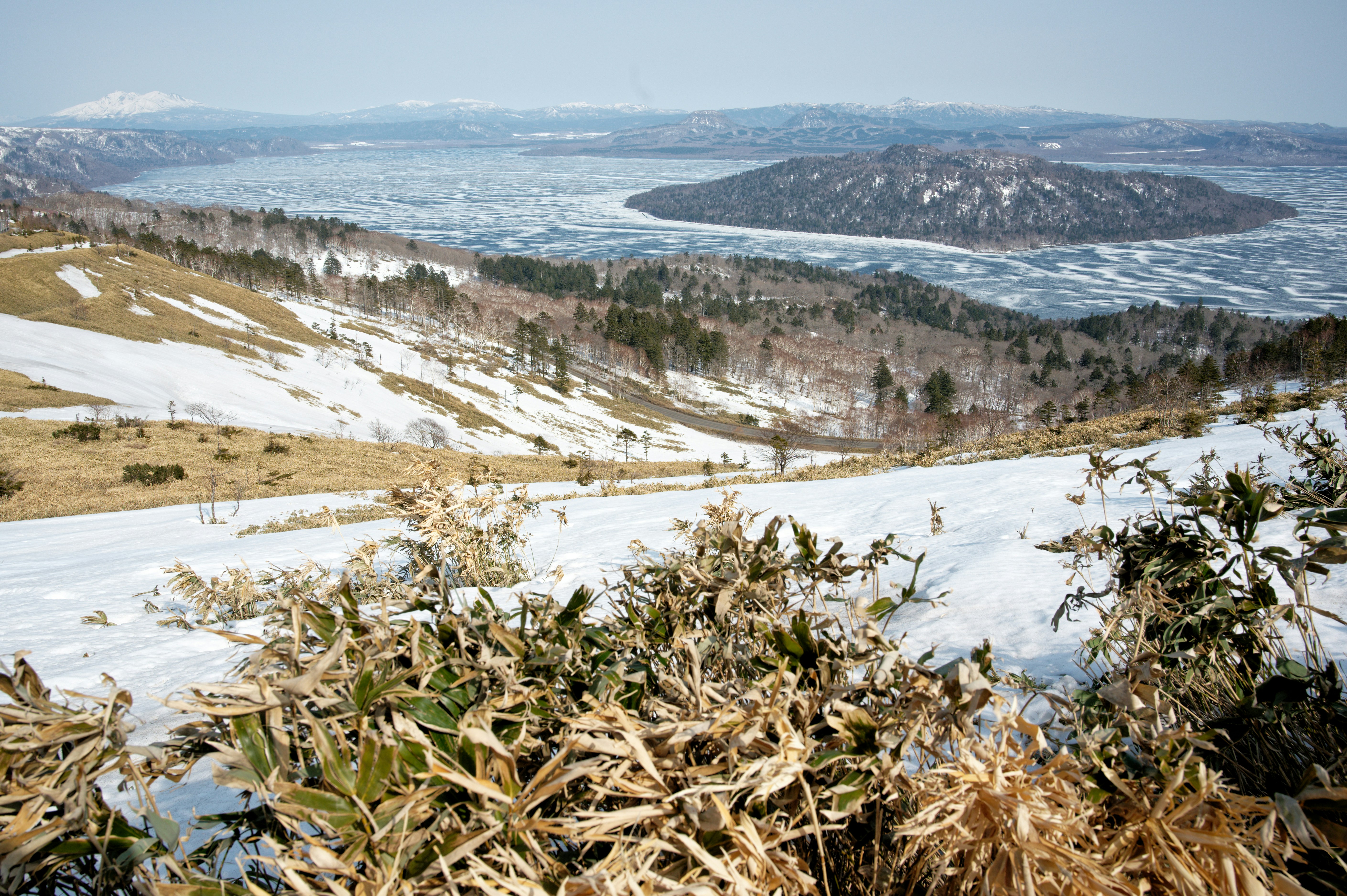 Photo by da_shika_photo