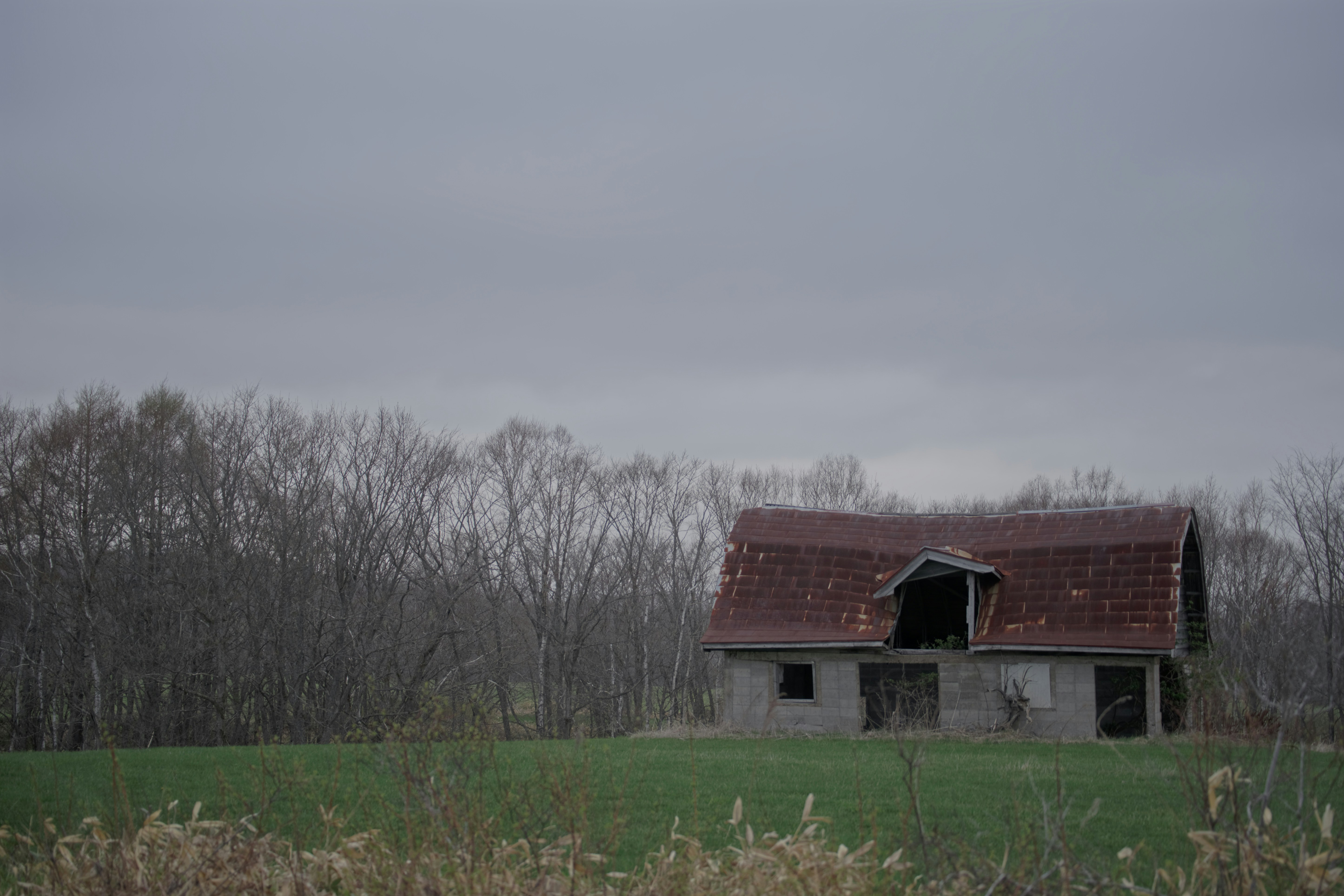 Photo by da_shika_photo