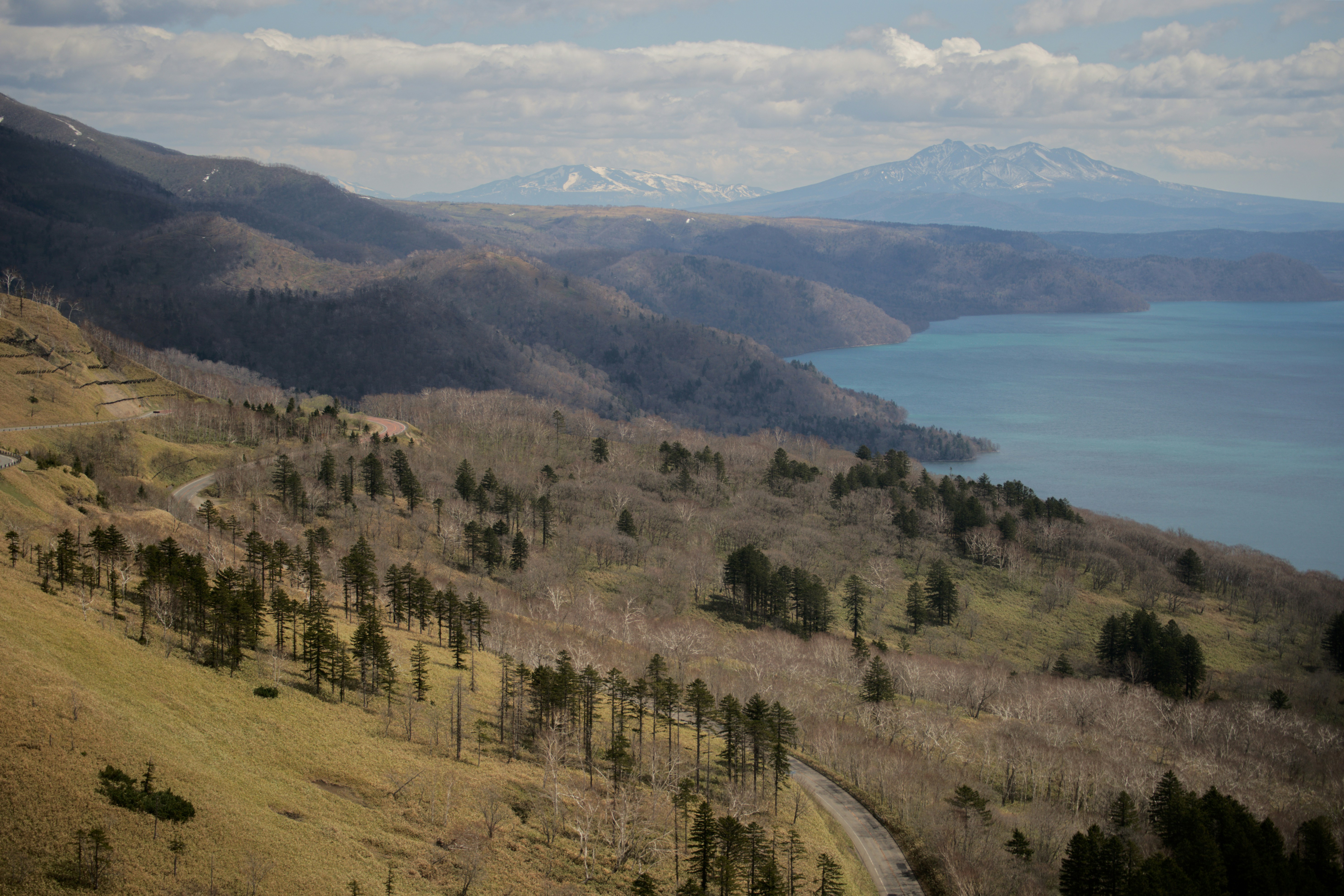 Photo by da_shika_photo