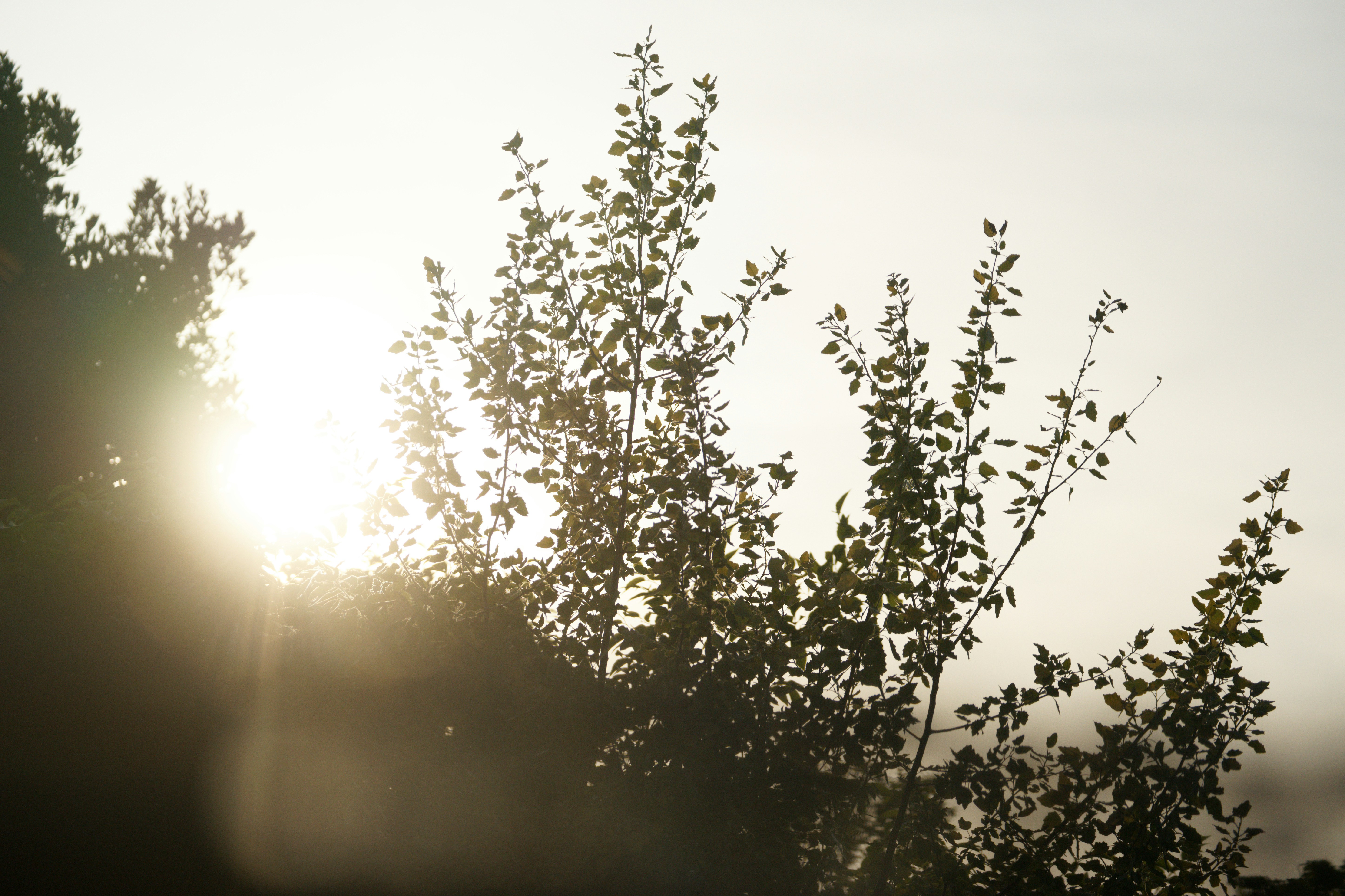 Photo by da_shika_photo