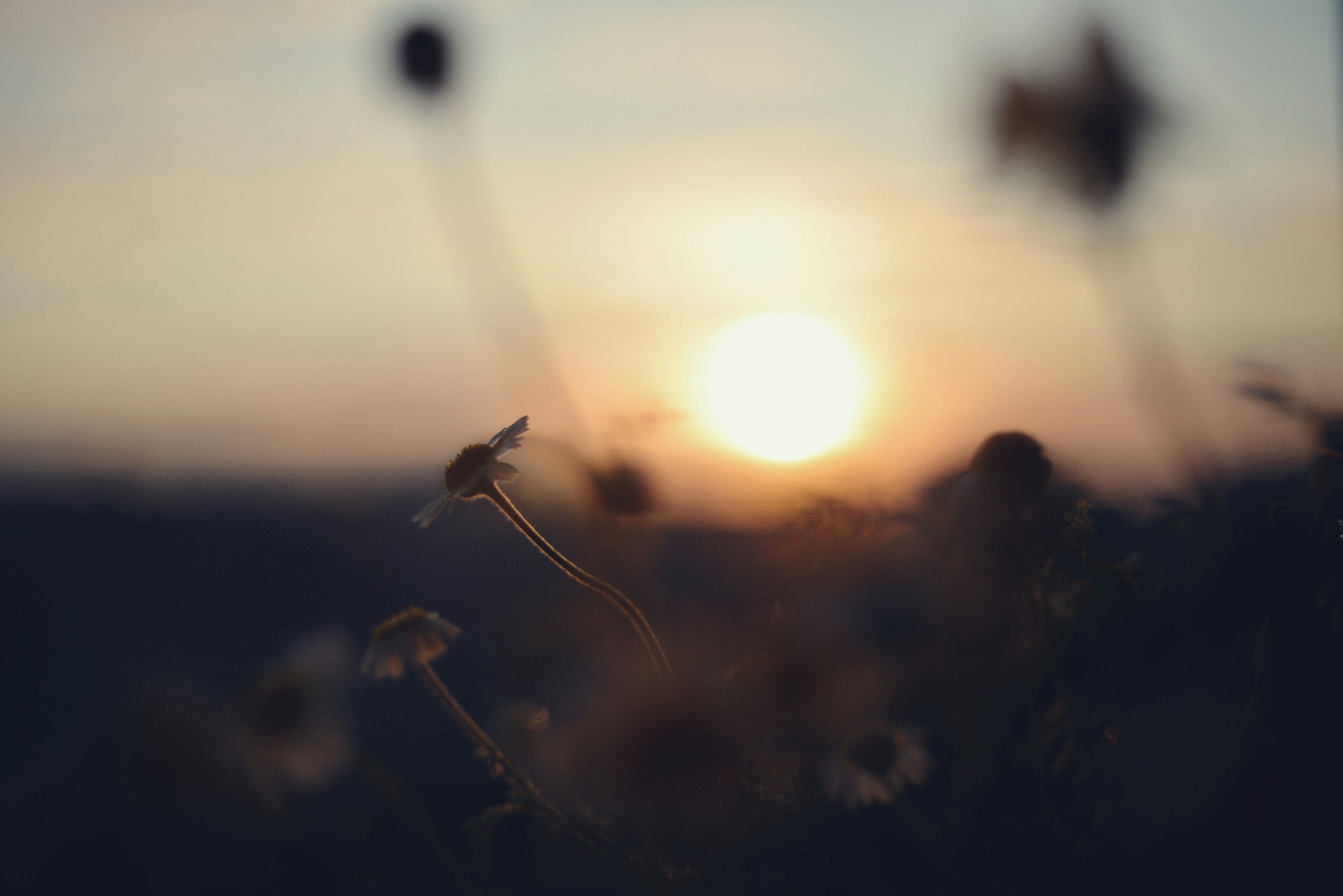 Photo by cherstve_pechivo