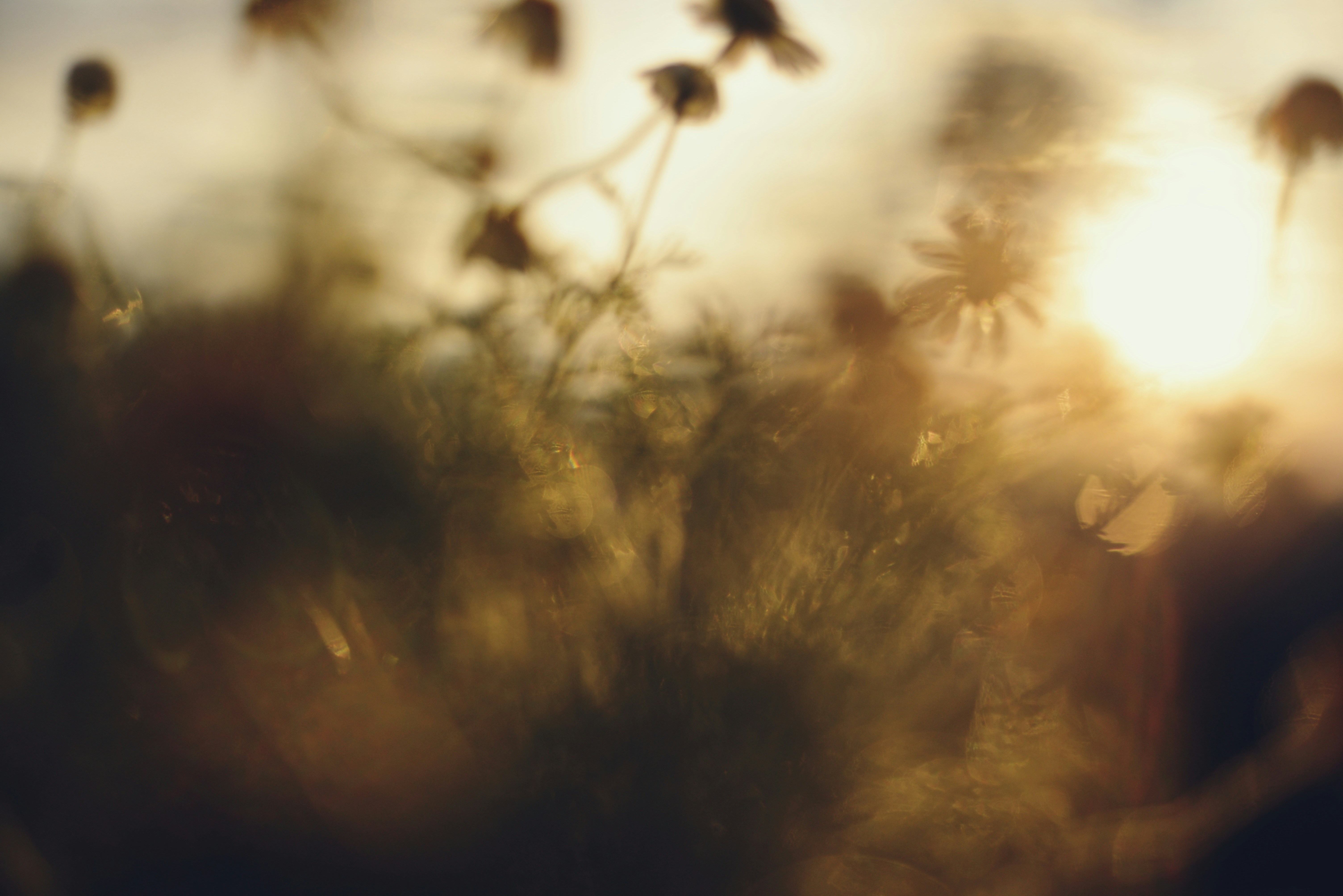 Photo by cherstve_pechivo