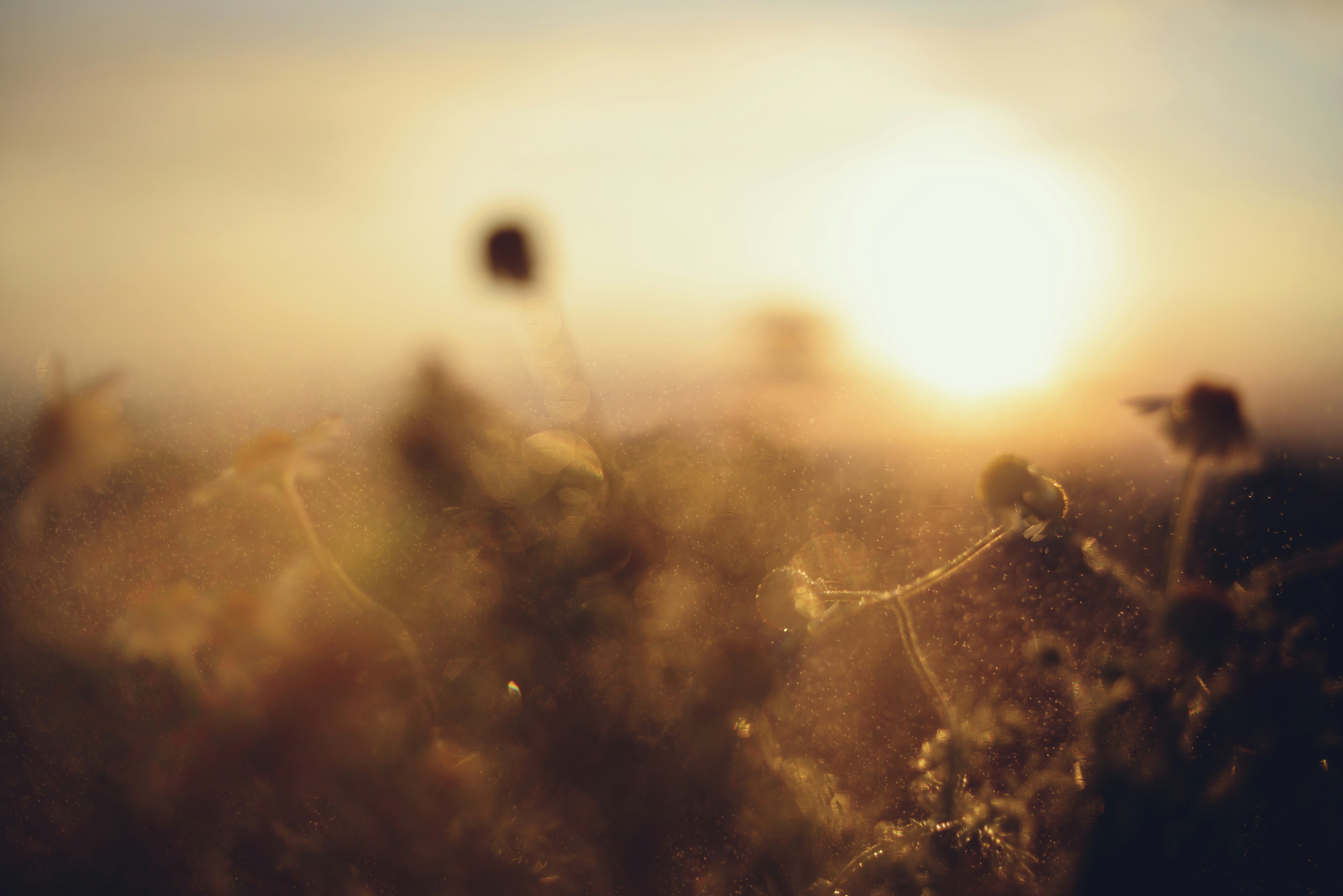 Photo by cherstve_pechivo