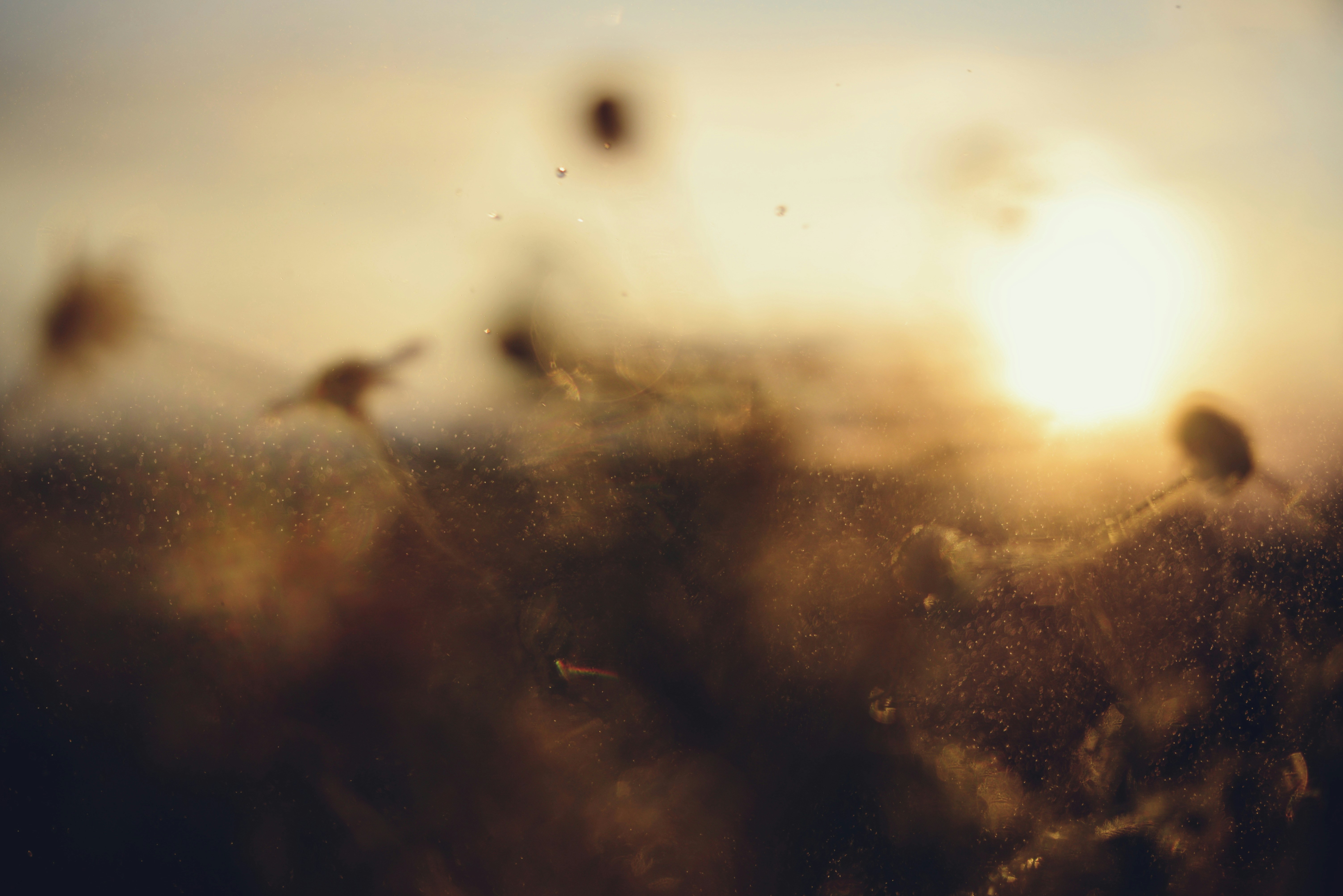 Photo by cherstve_pechivo