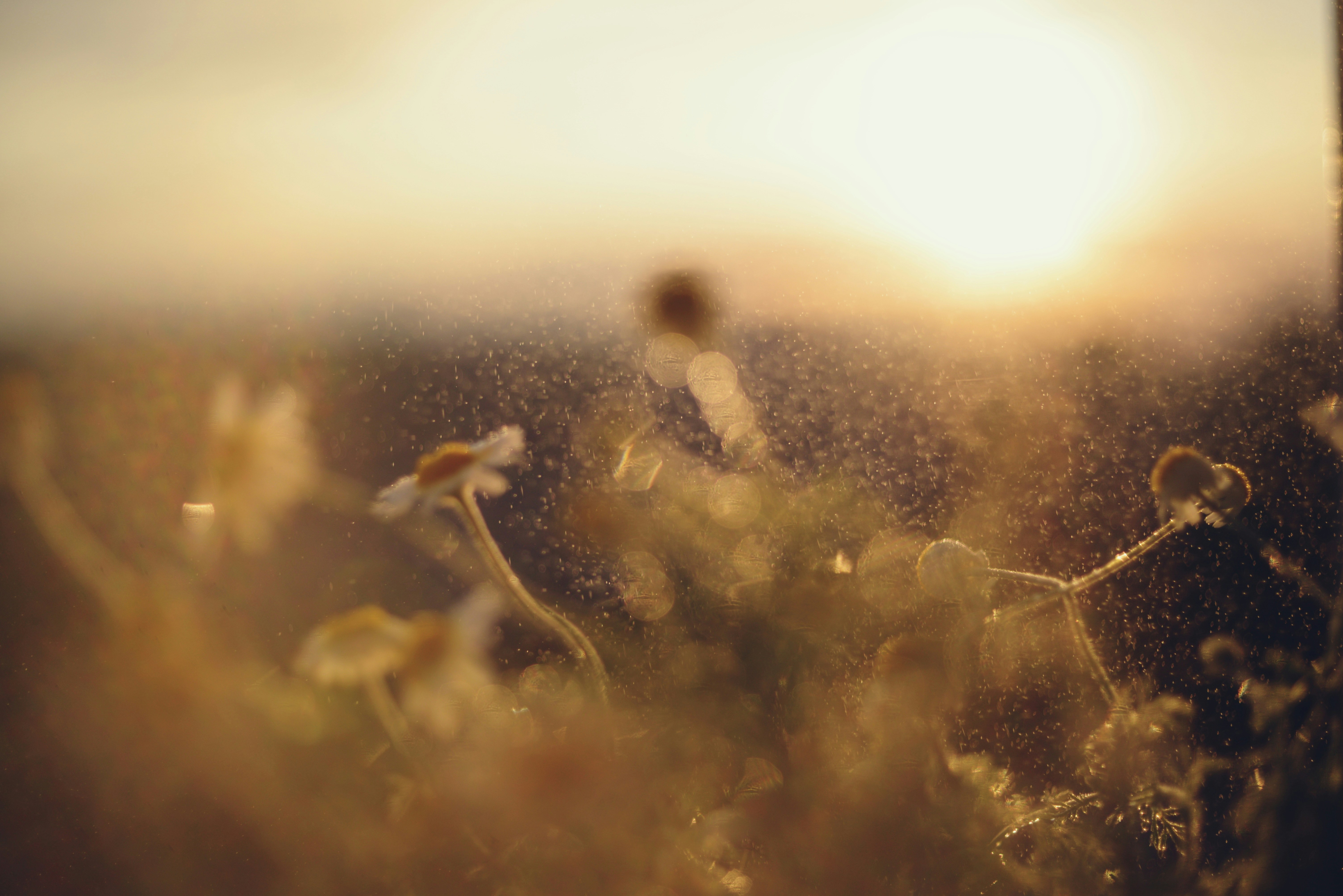 Photo by cherstve_pechivo