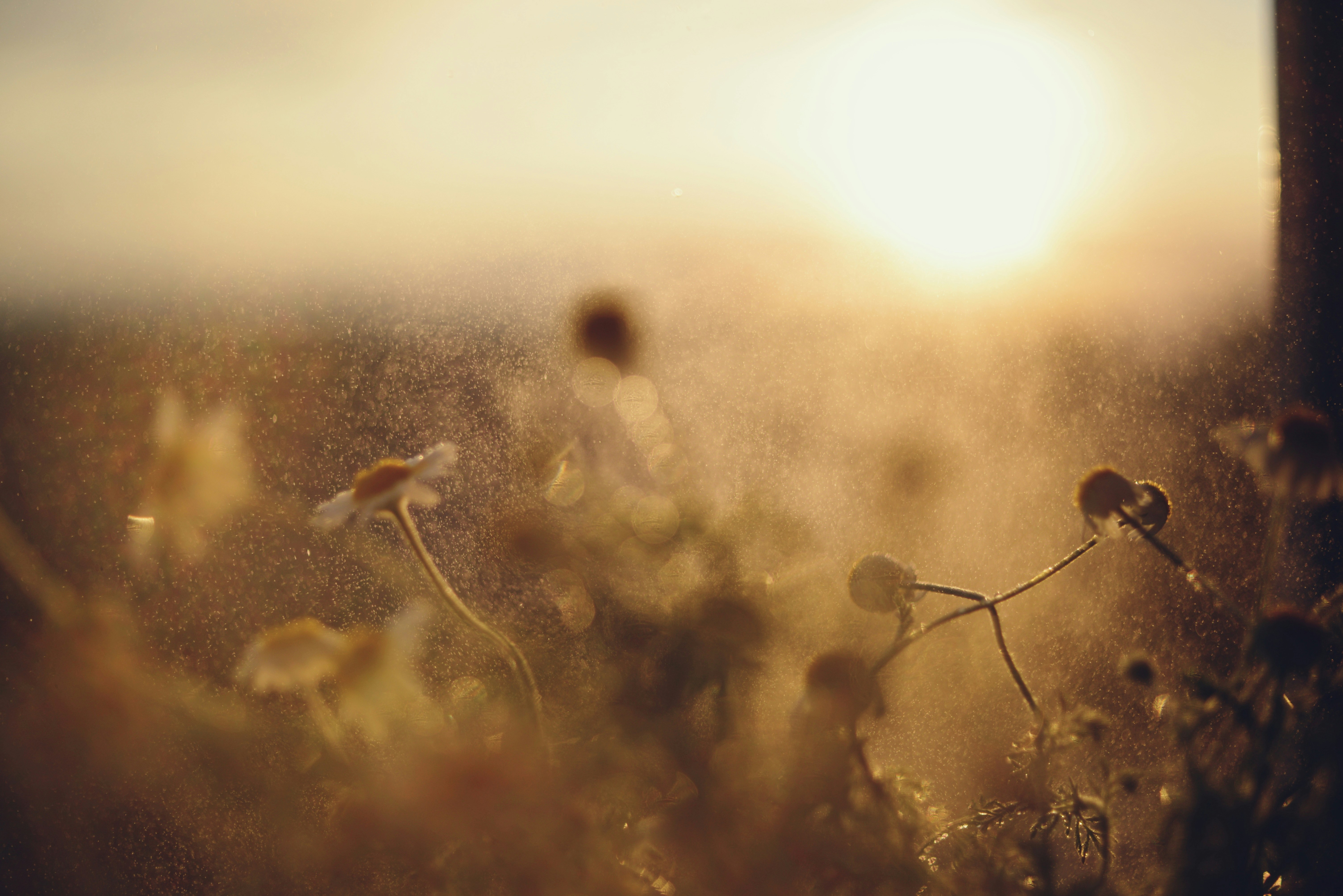 Photo by cherstve_pechivo