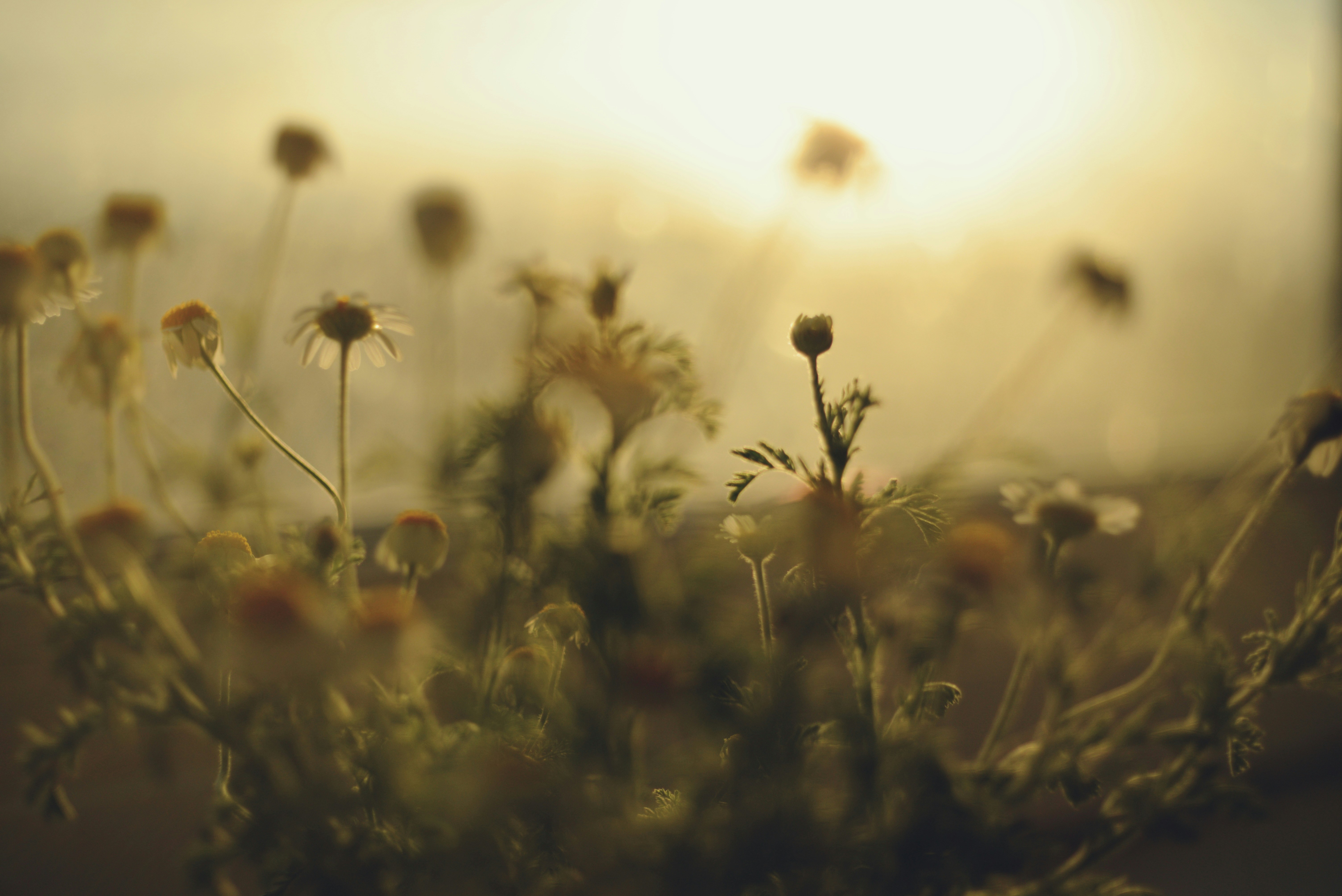 Photo by cherstve_pechivo