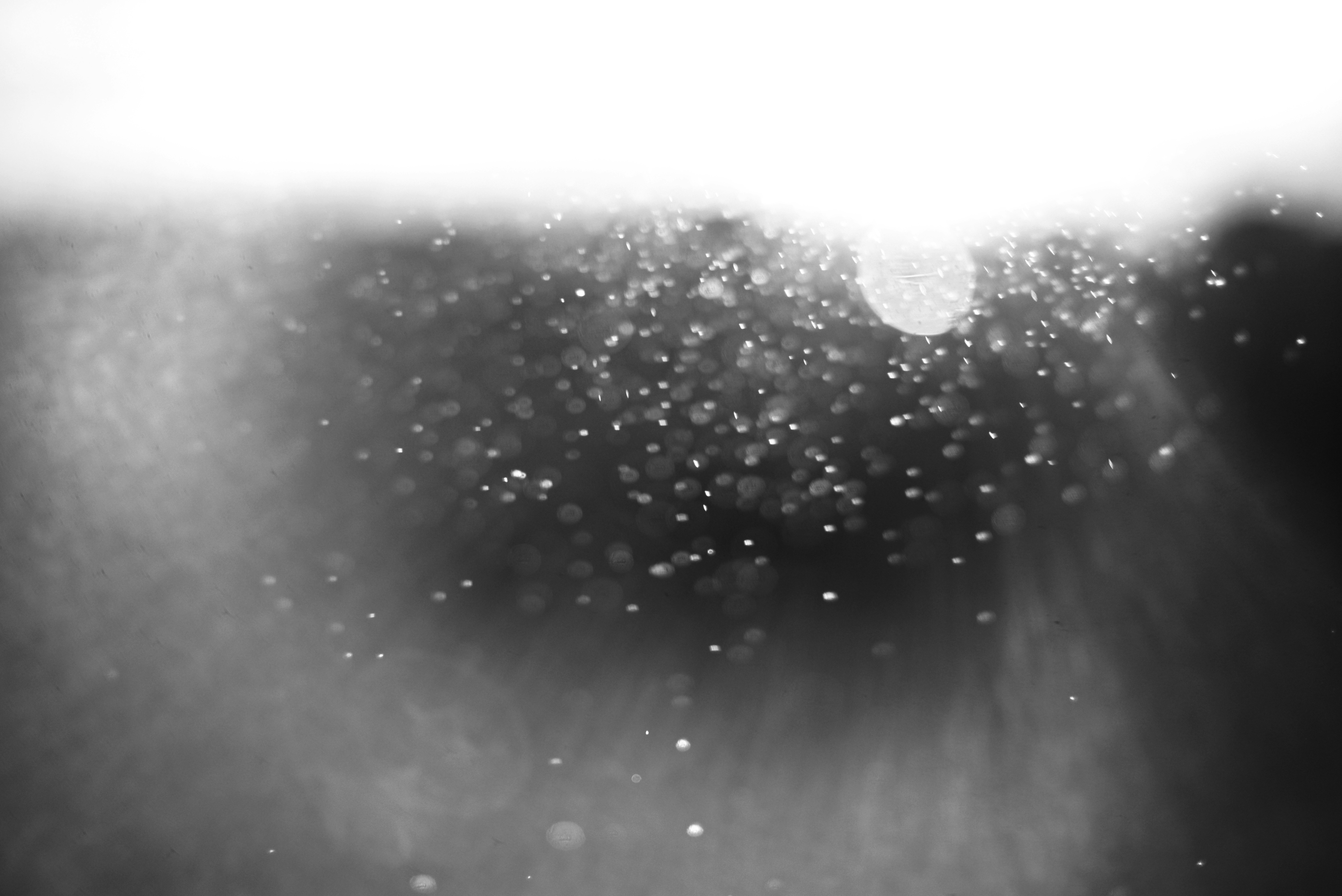 Photo by cherstve_pechivo