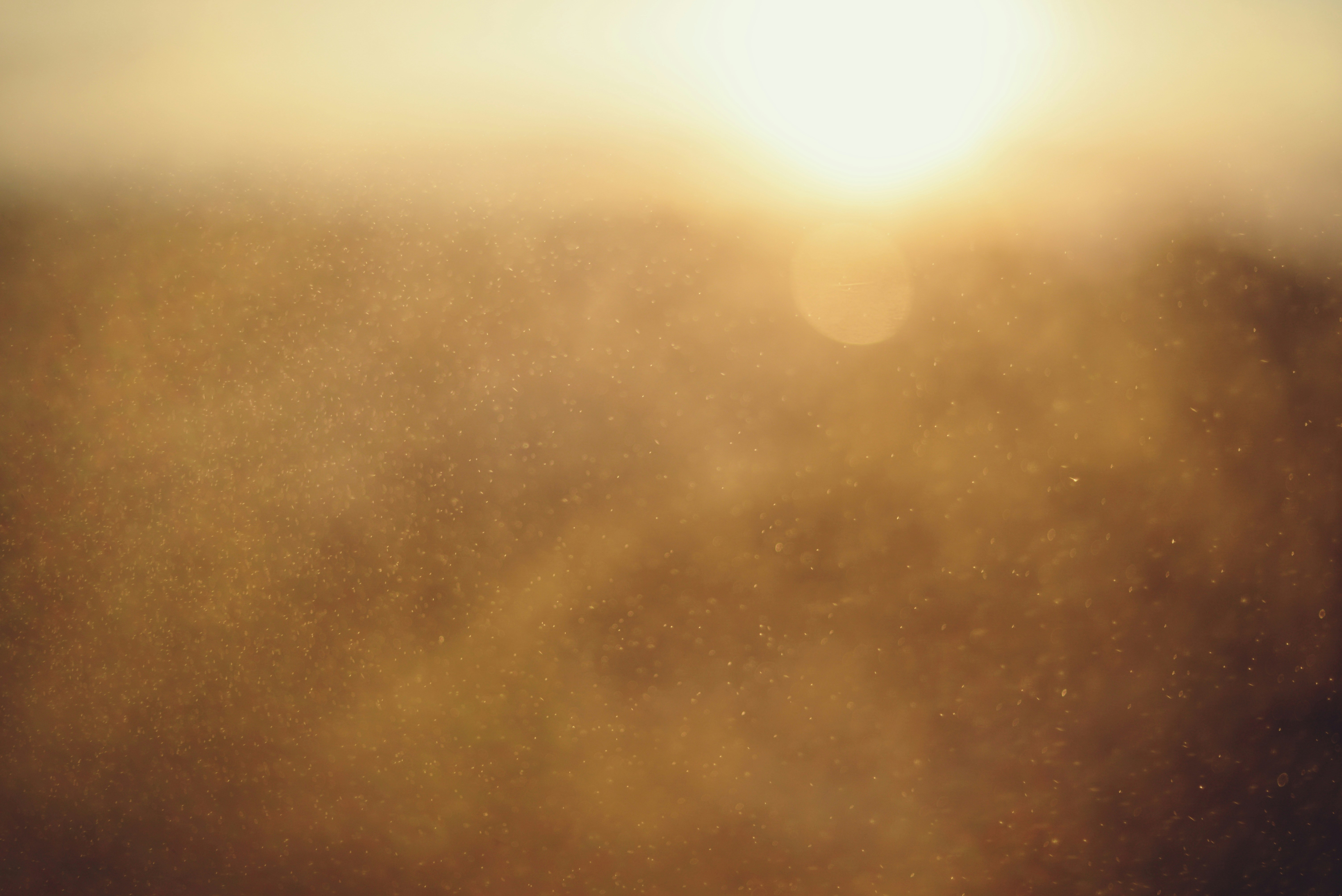 Photo by cherstve_pechivo