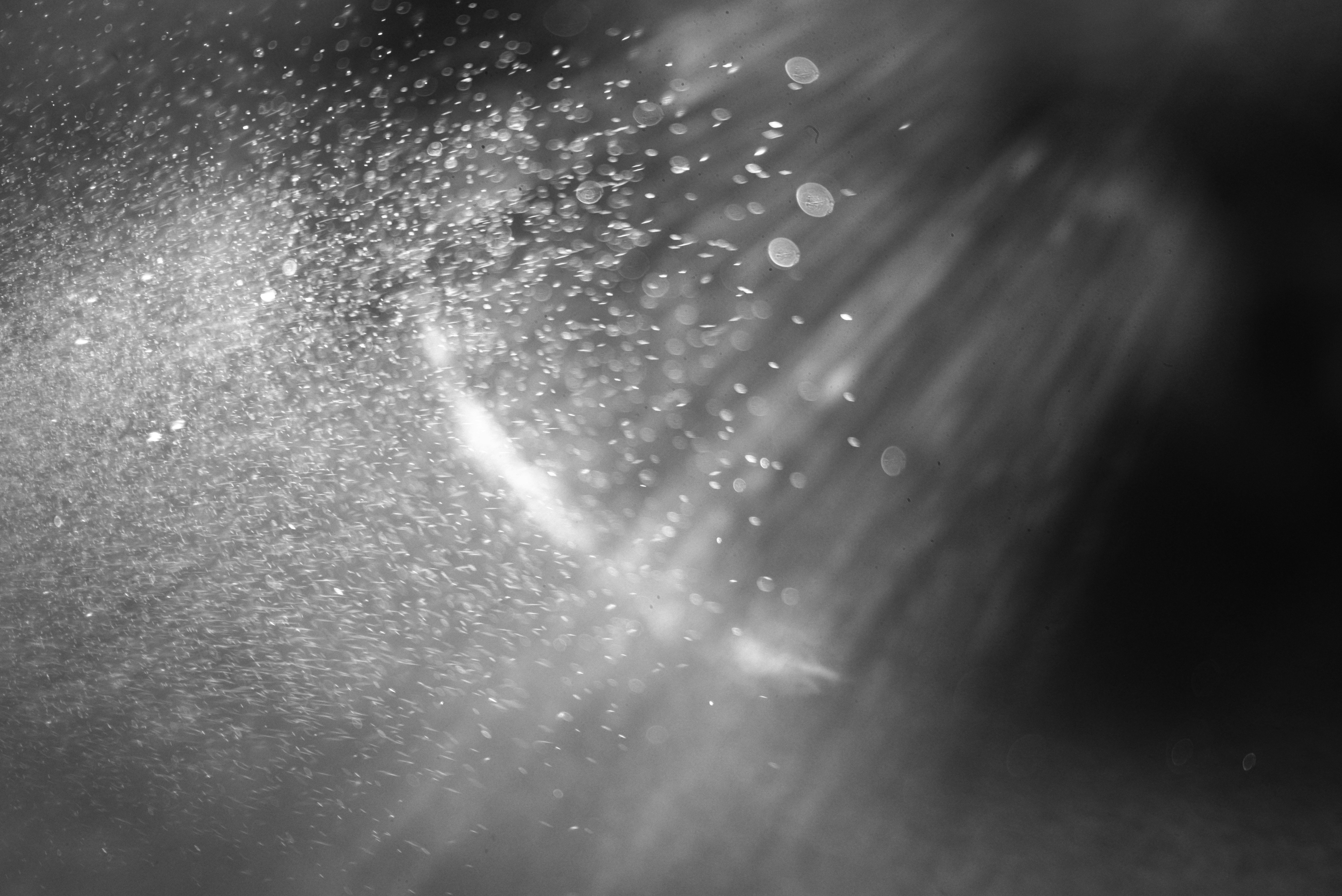 Photo by cherstve_pechivo