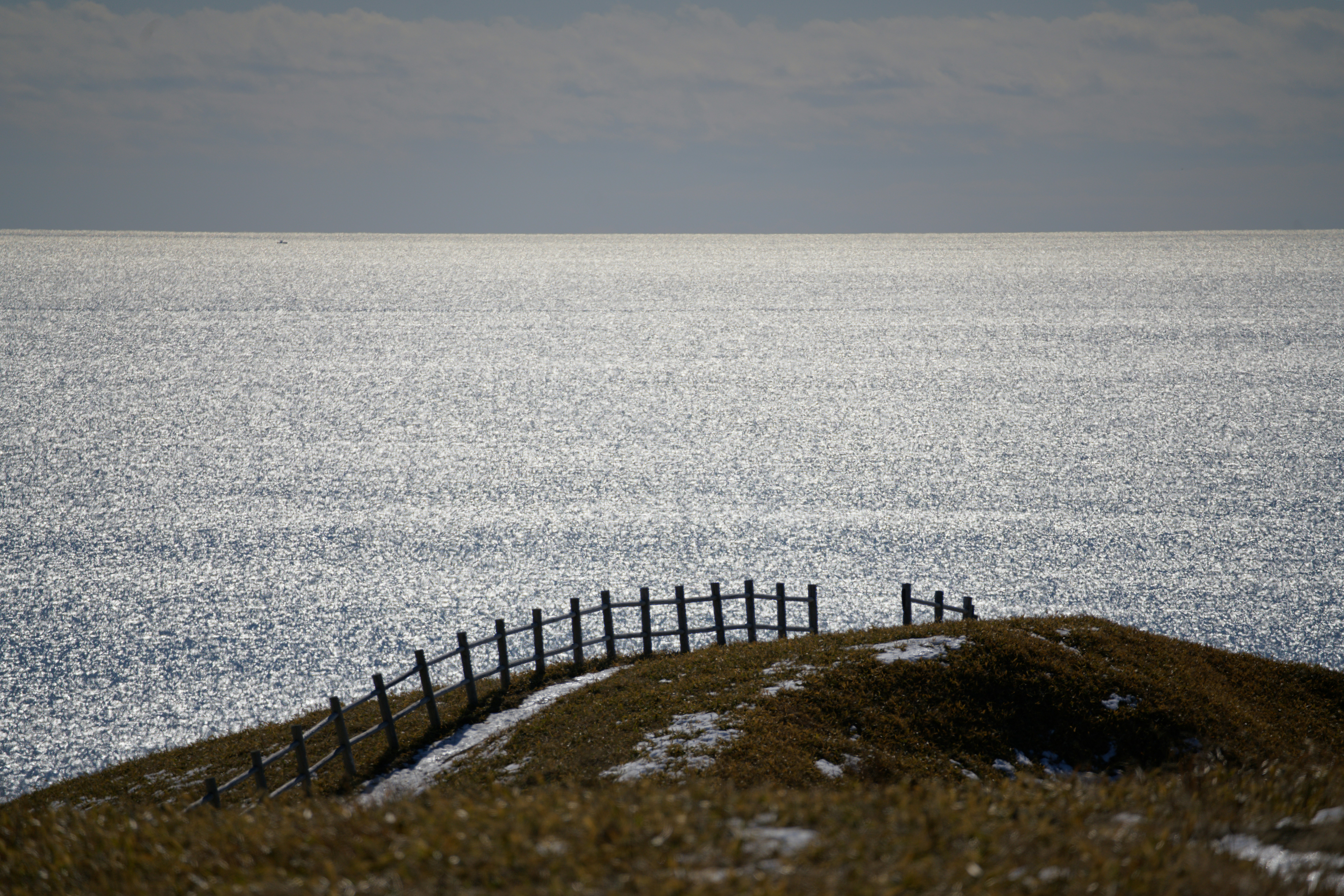 Photo by da_shika_photo