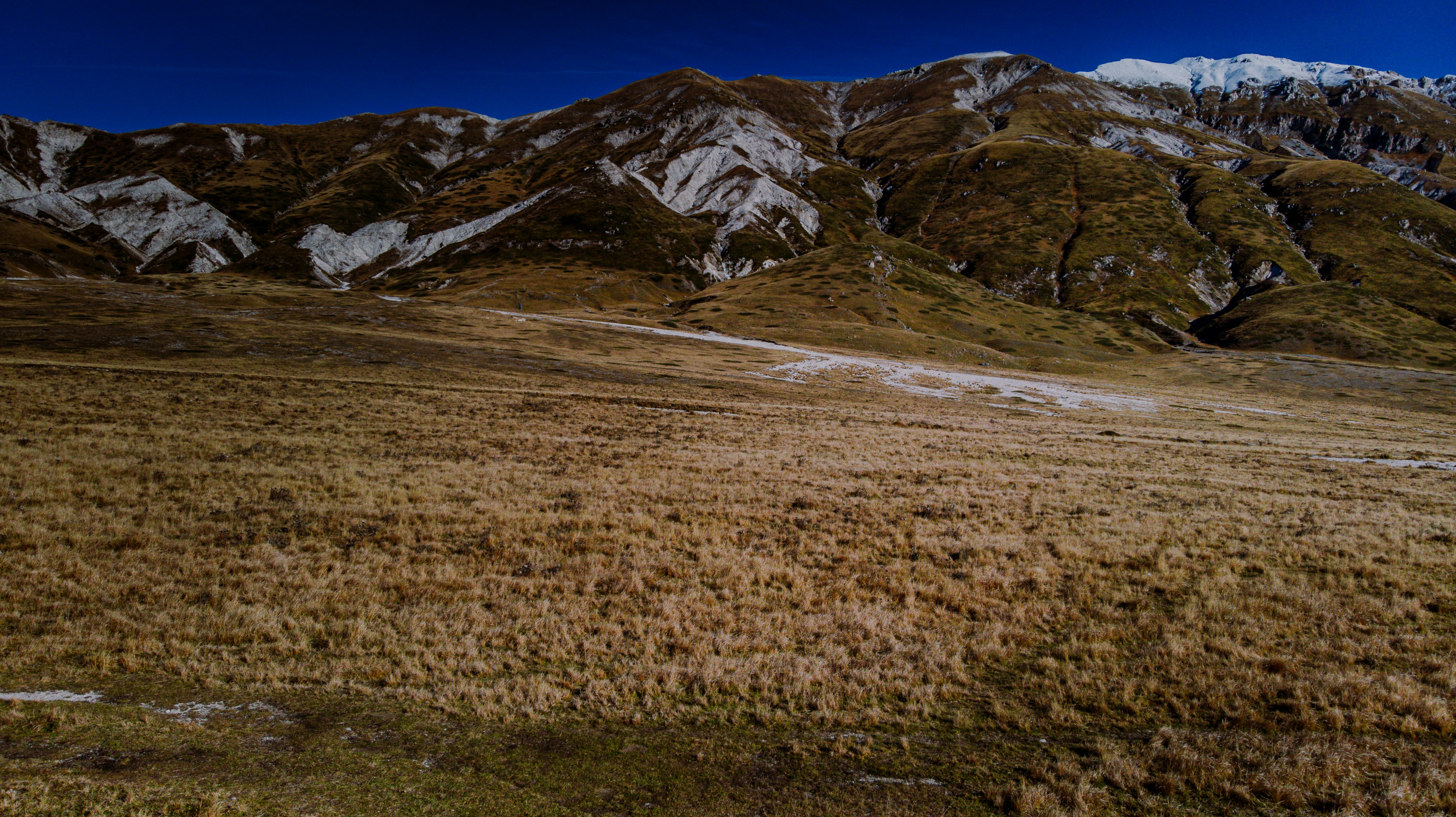 Photo by lucaakalu