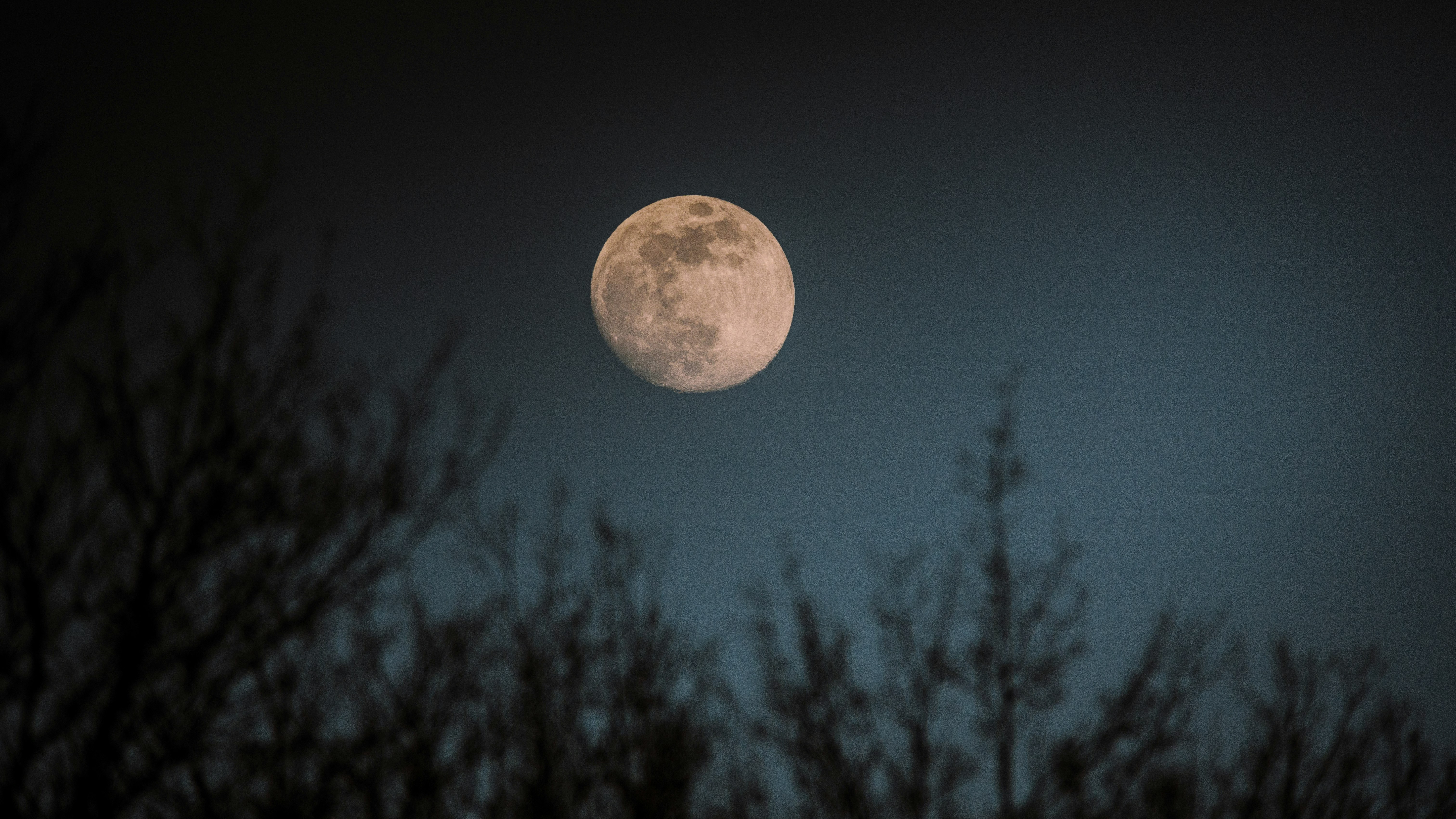 어도비 계정 로그인으로 정품 상태 확인하는 절차