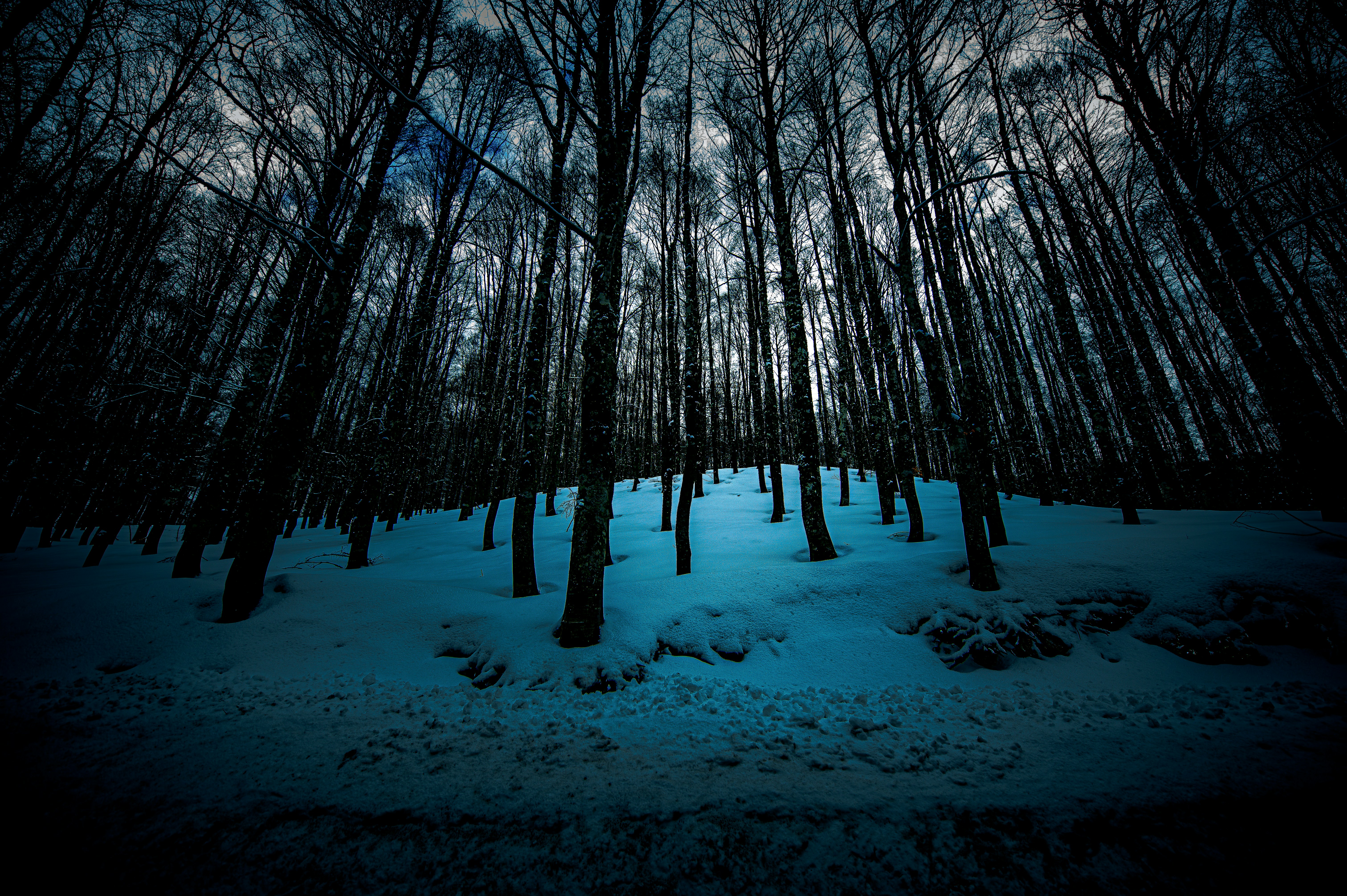 Photo by lucaakalu