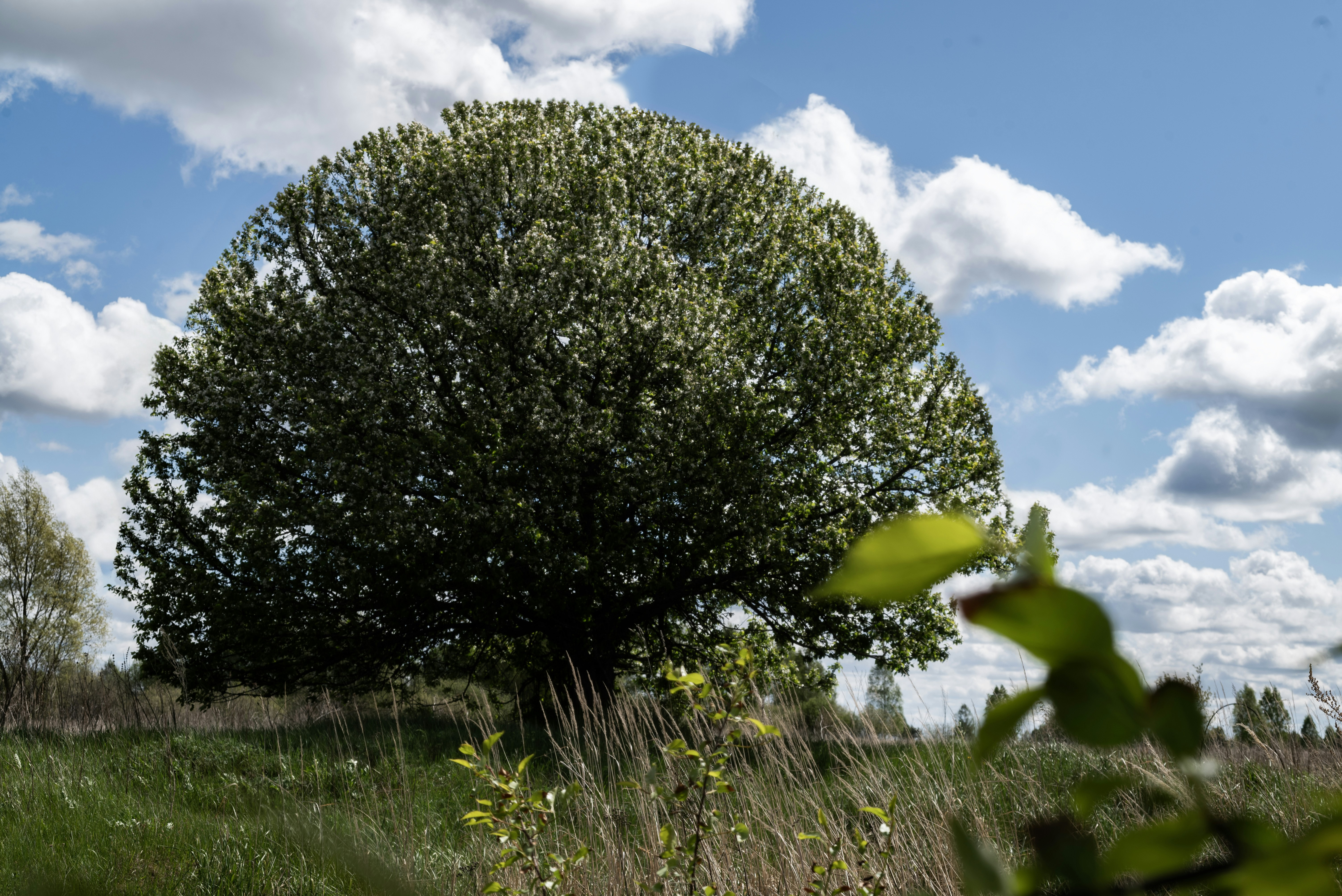 Photo by andrilliardbond