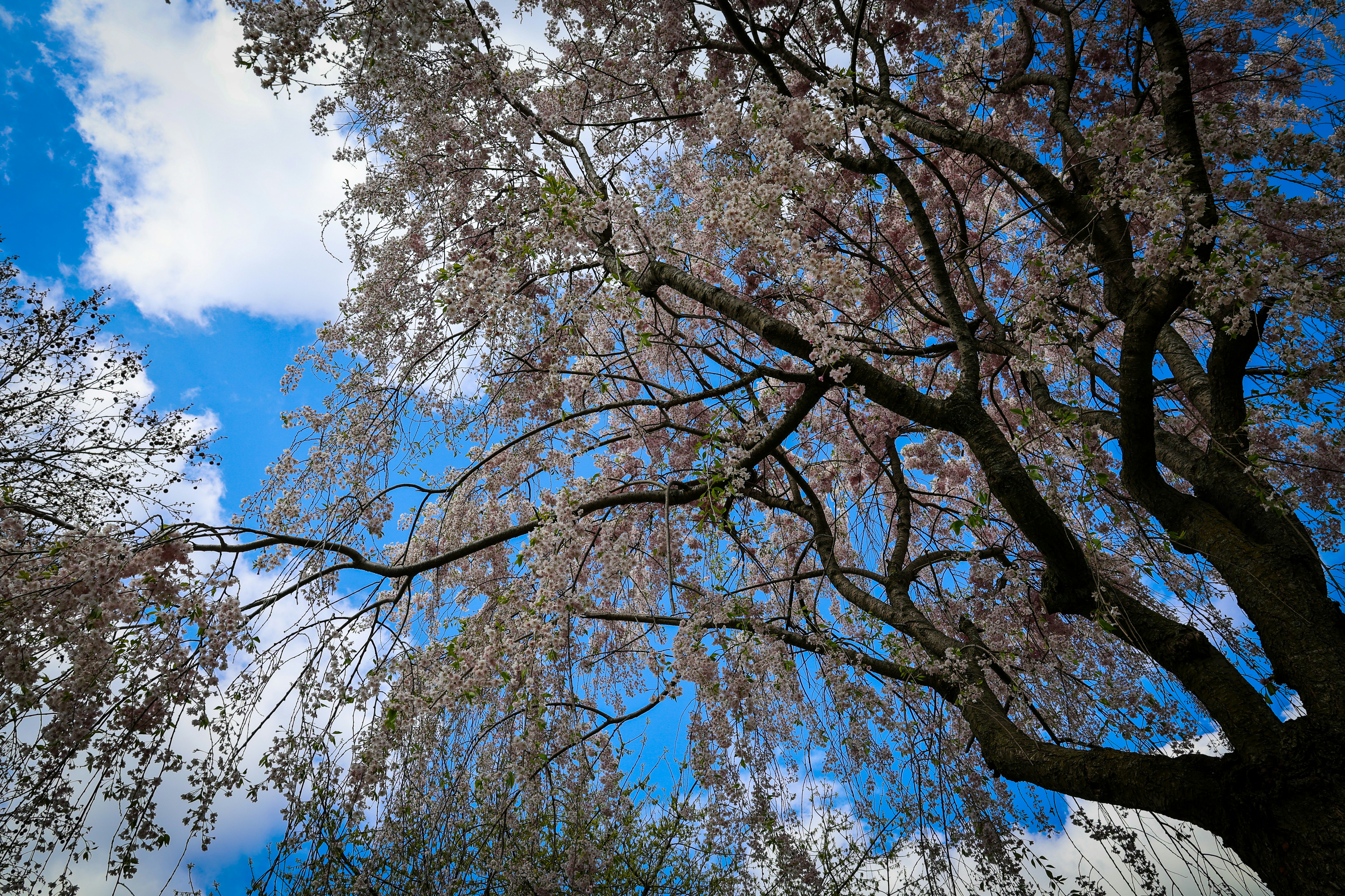 Photo by clickgstudio