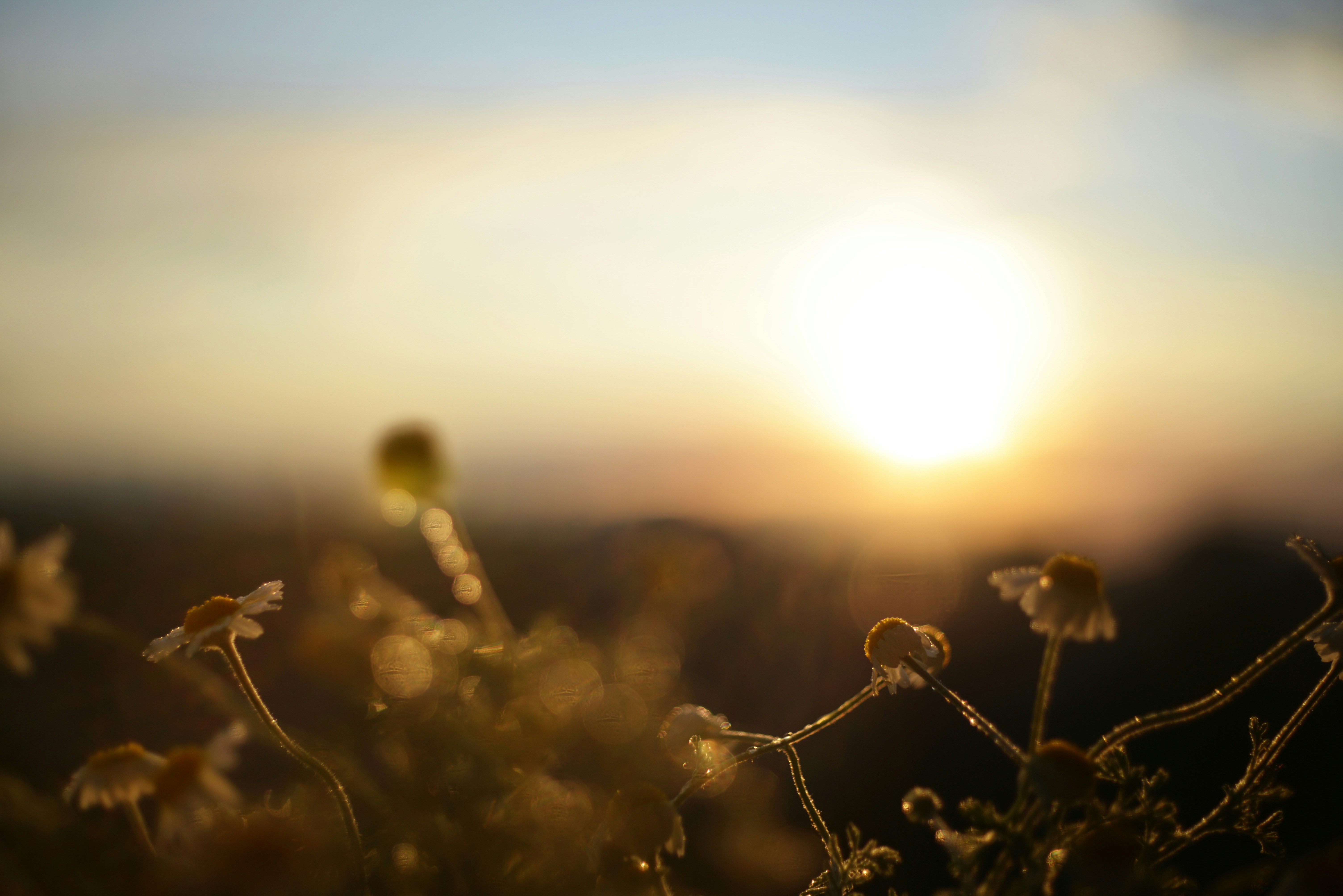 Photo by cherstve_pechivo