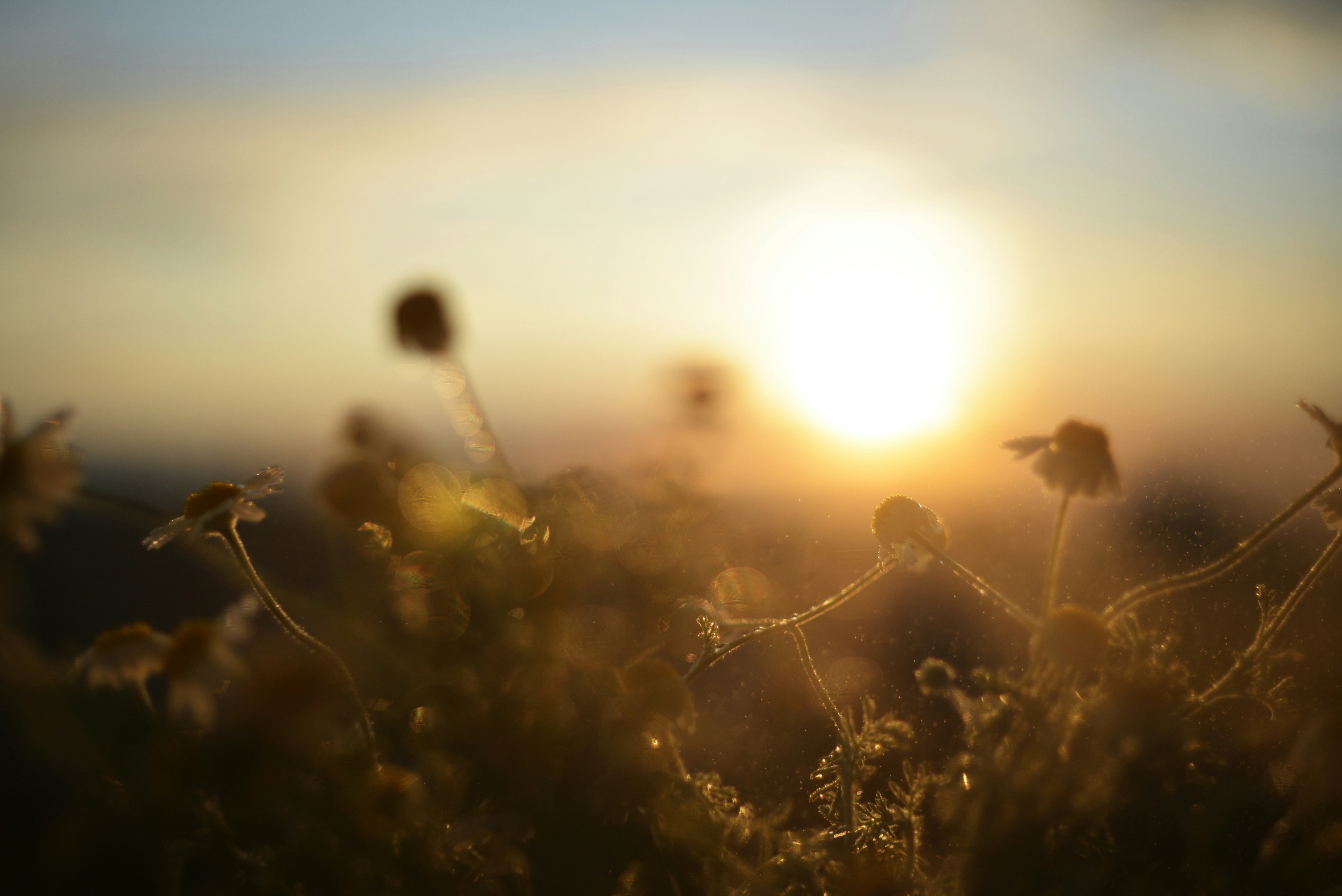 Photo by cherstve_pechivo